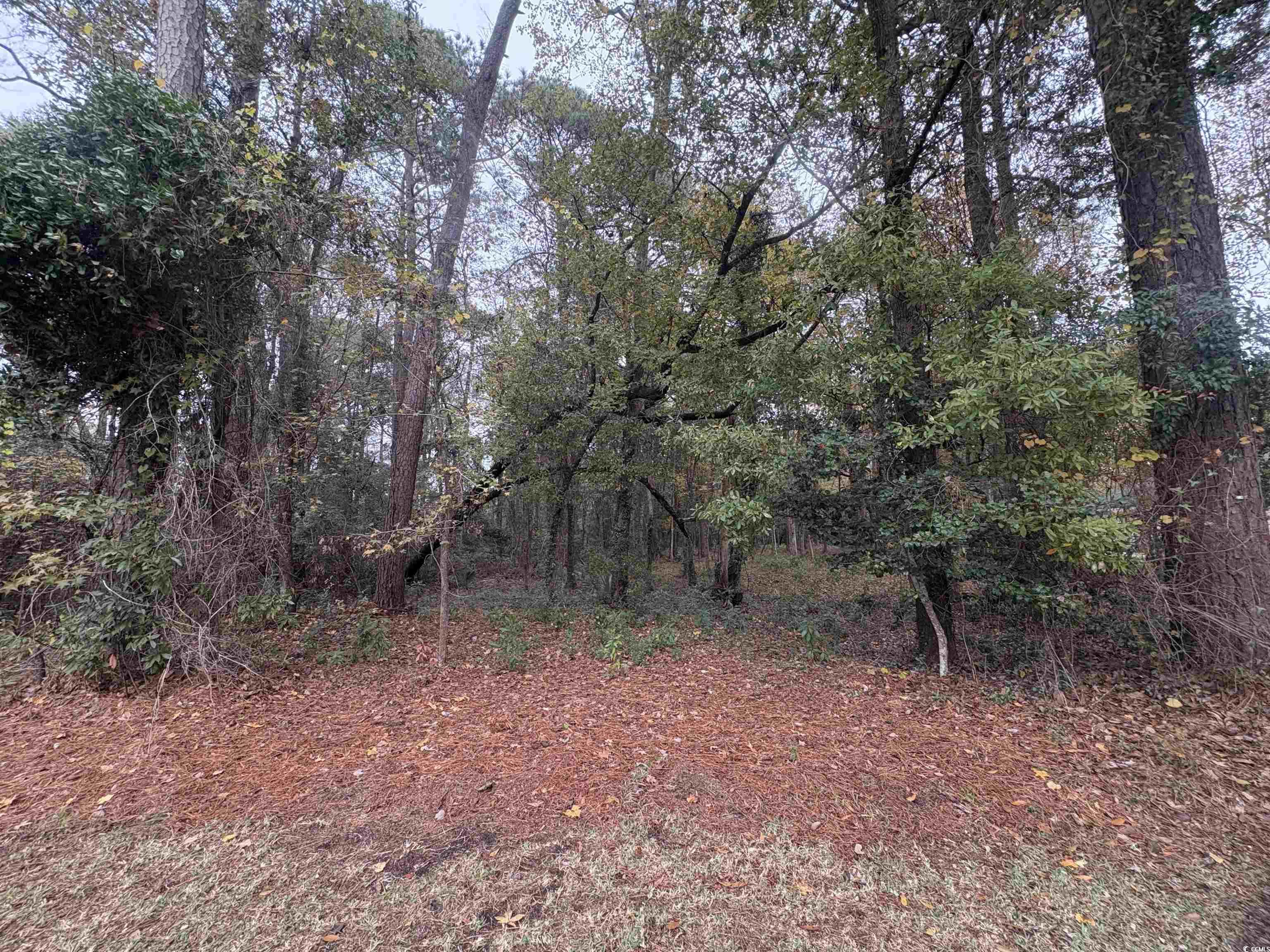 Lot 34 Old Augusta Dr.