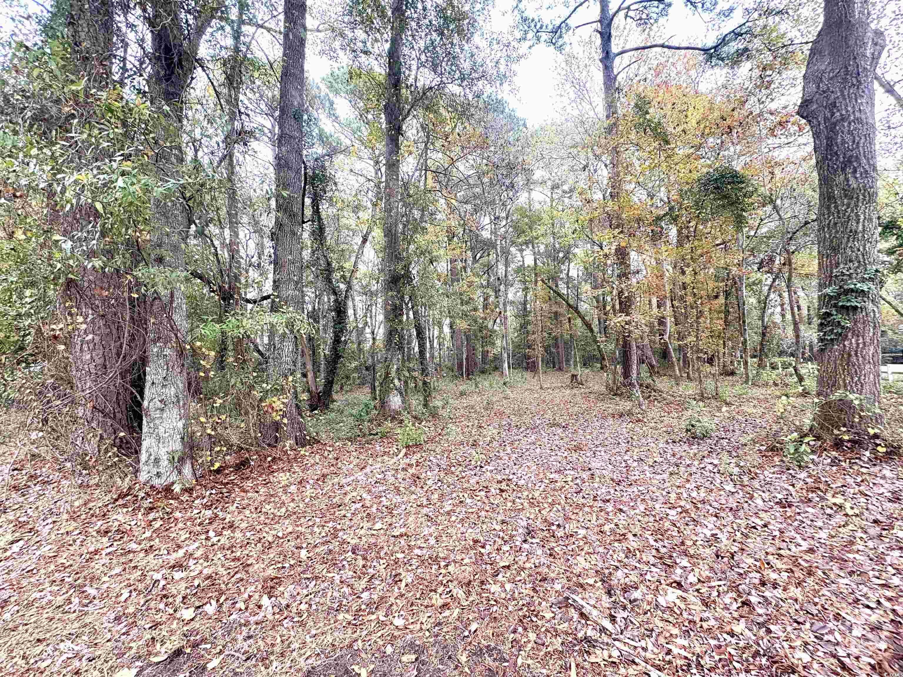 Lot 34 Old Augusta Dr.