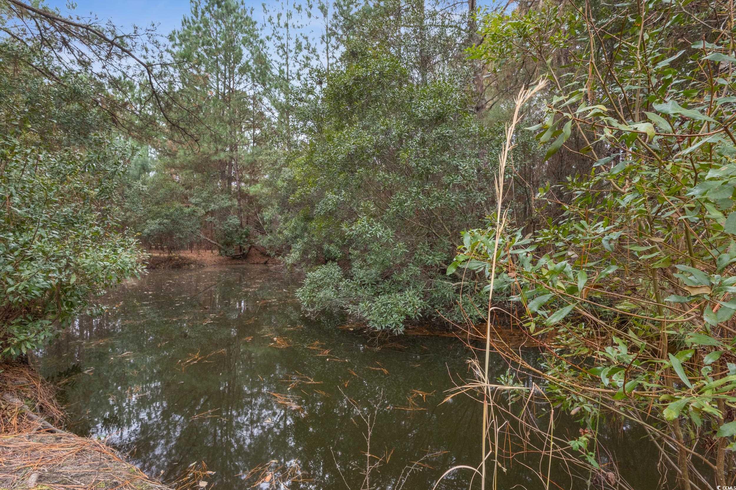 33332 County Line Rd.