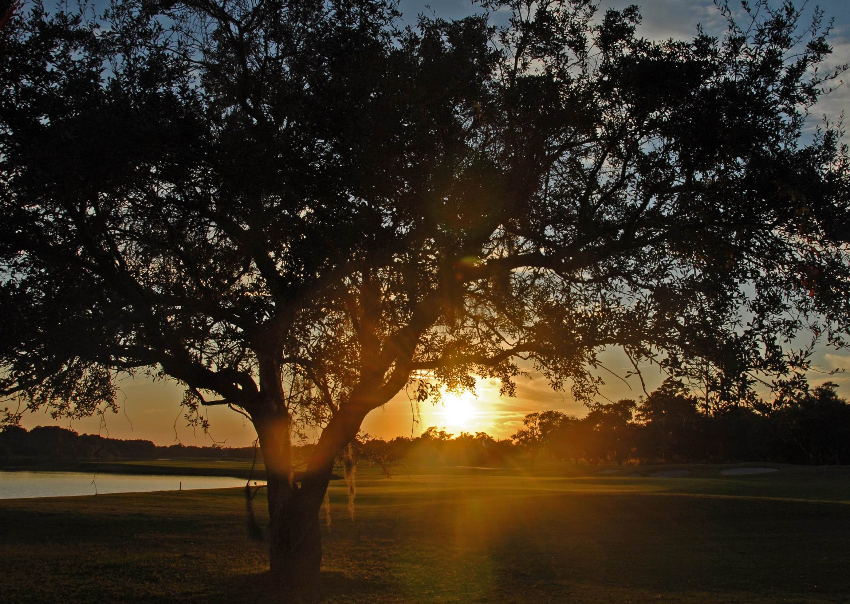 703 Collins Meadow Dr.