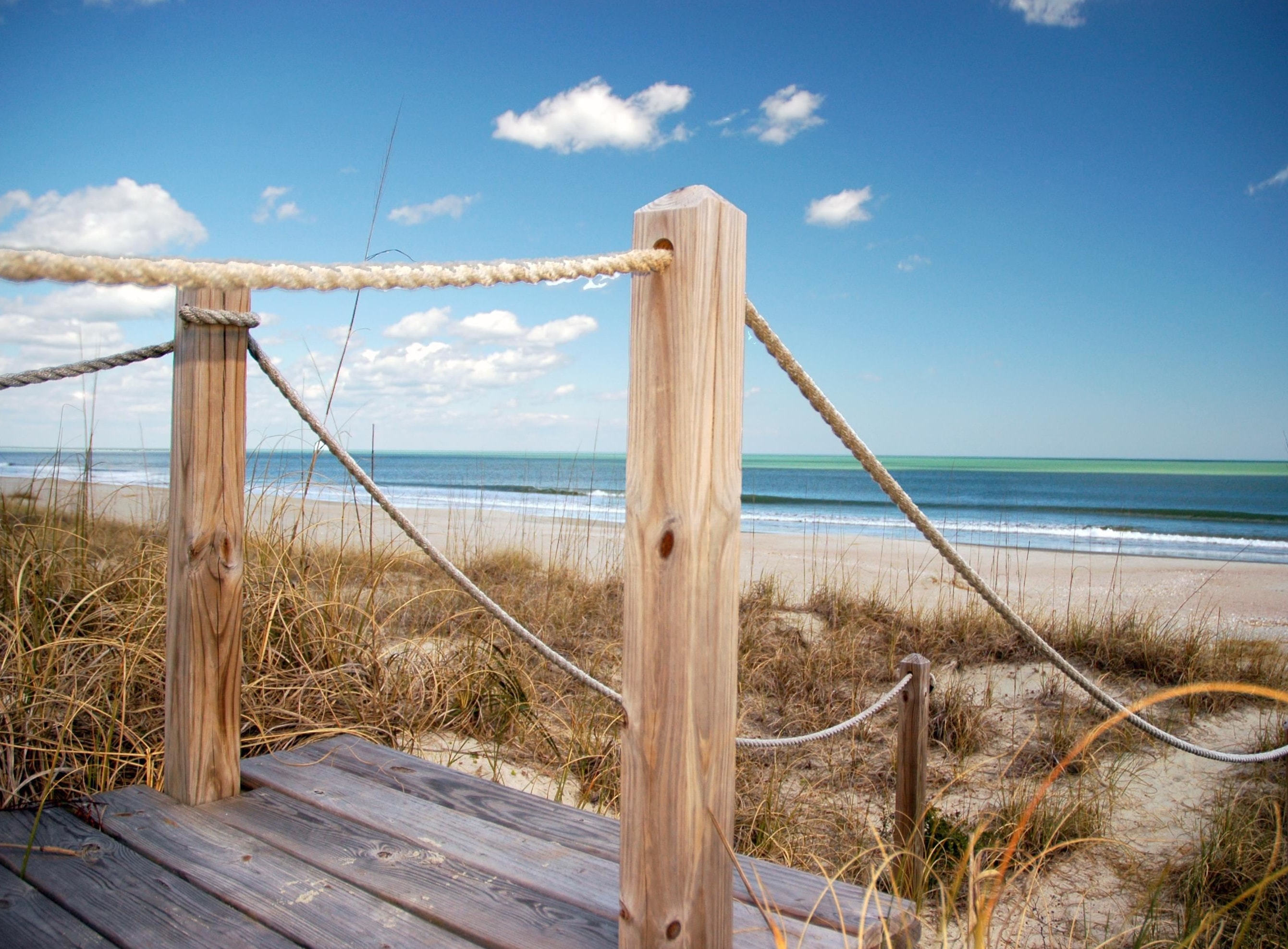 703 Collins Meadow Dr.