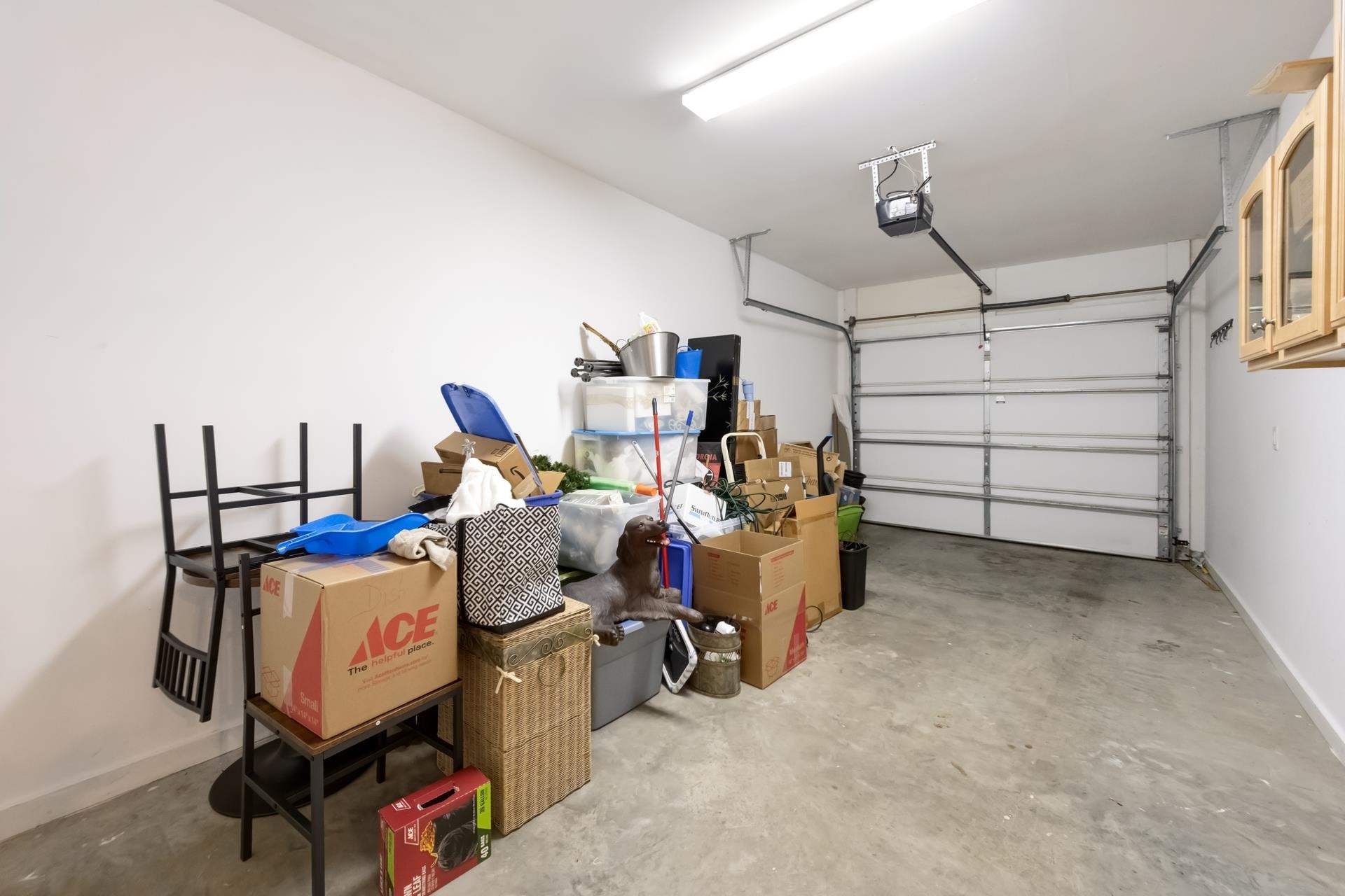 529 Golden Bear Dr. Unit: B