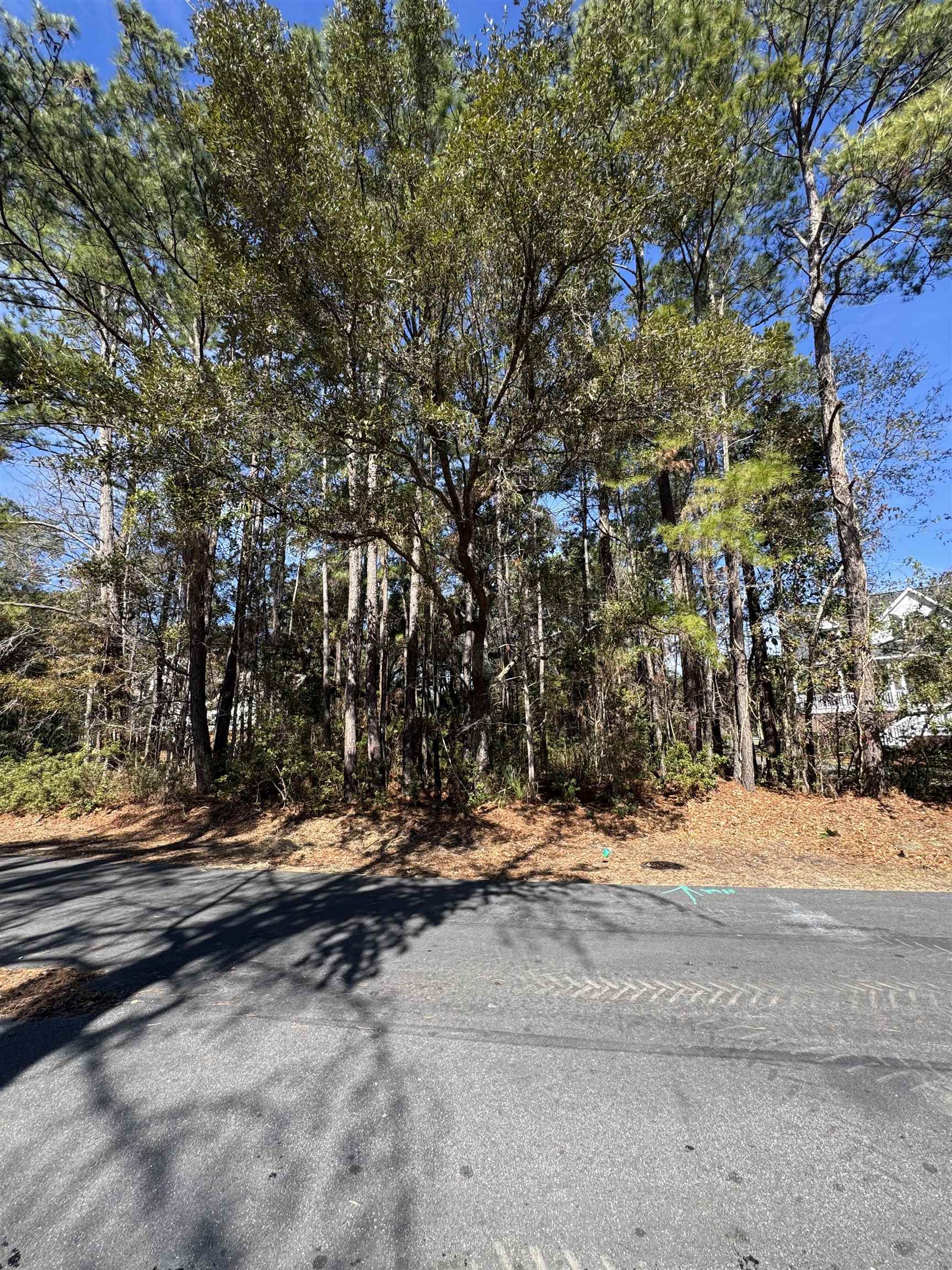 Lot 79 Brandon Way