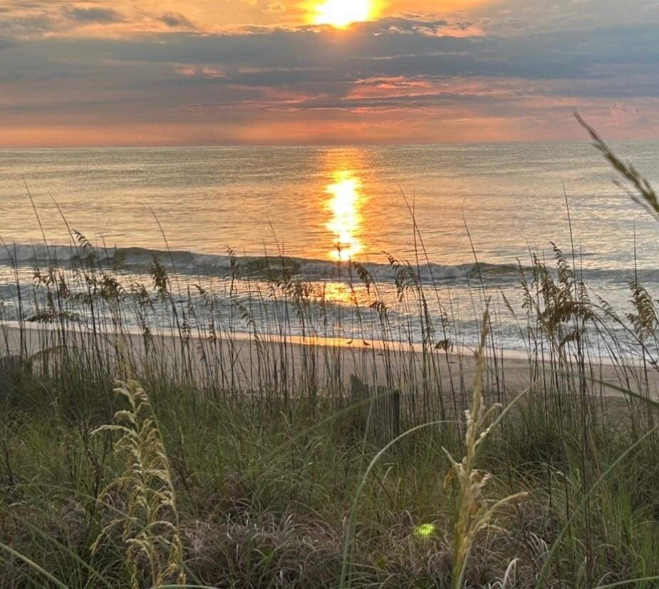 110 Swan Point Trail