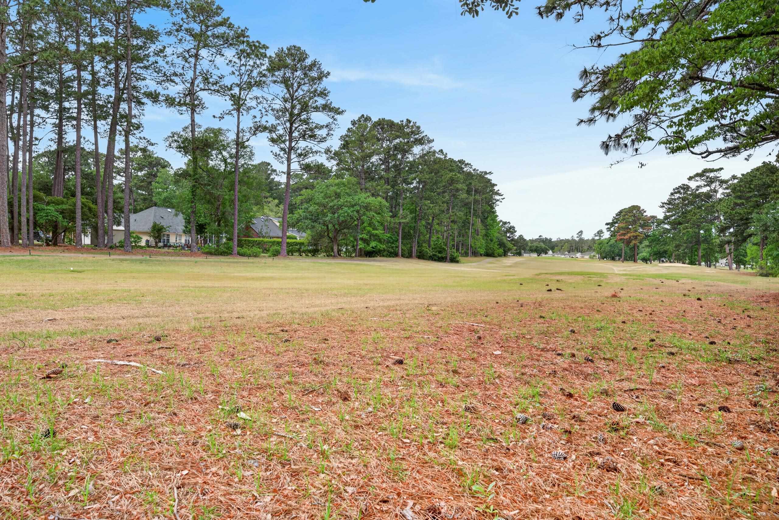 113 Capt Anthony White Ln.