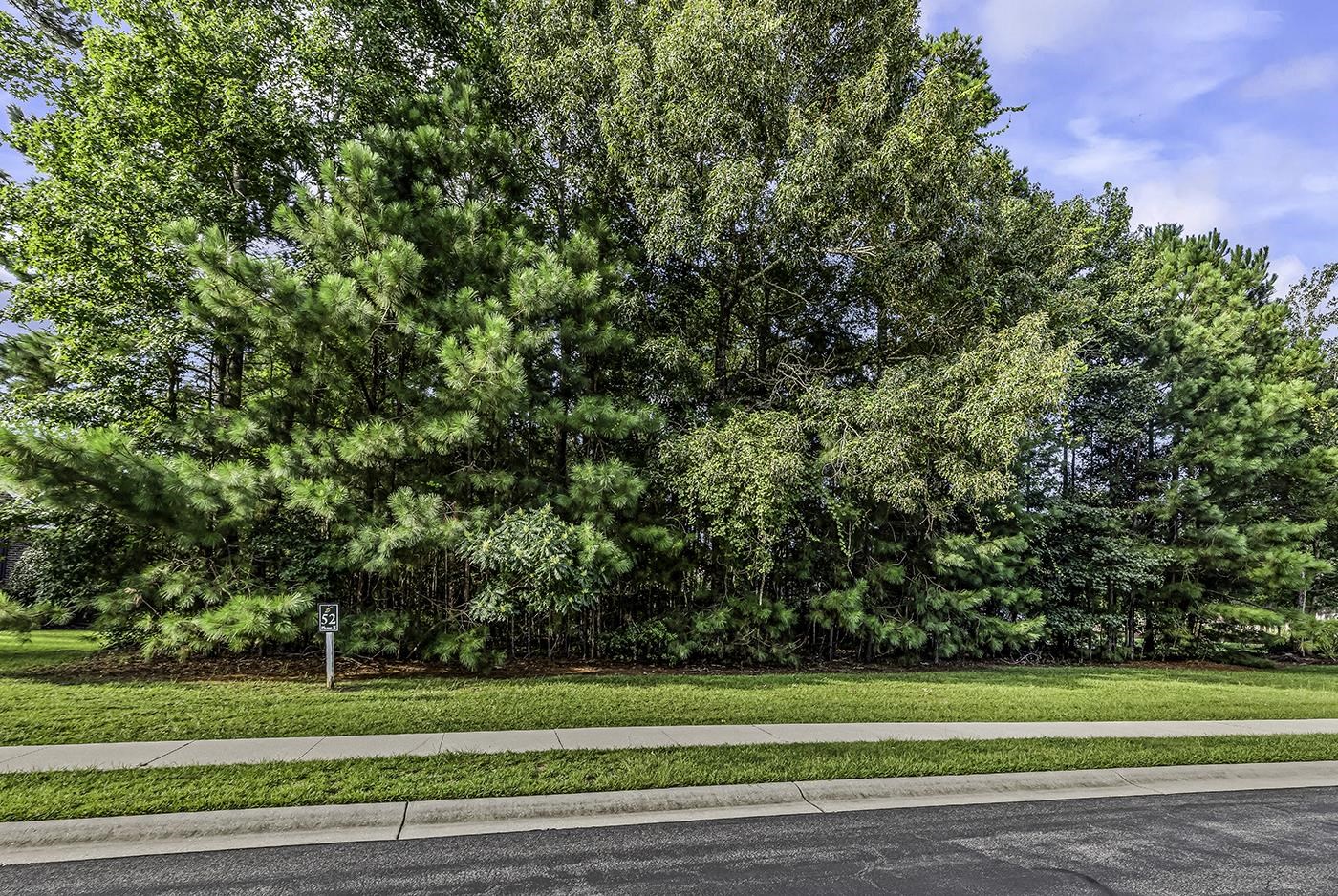 155 Low Country Loop