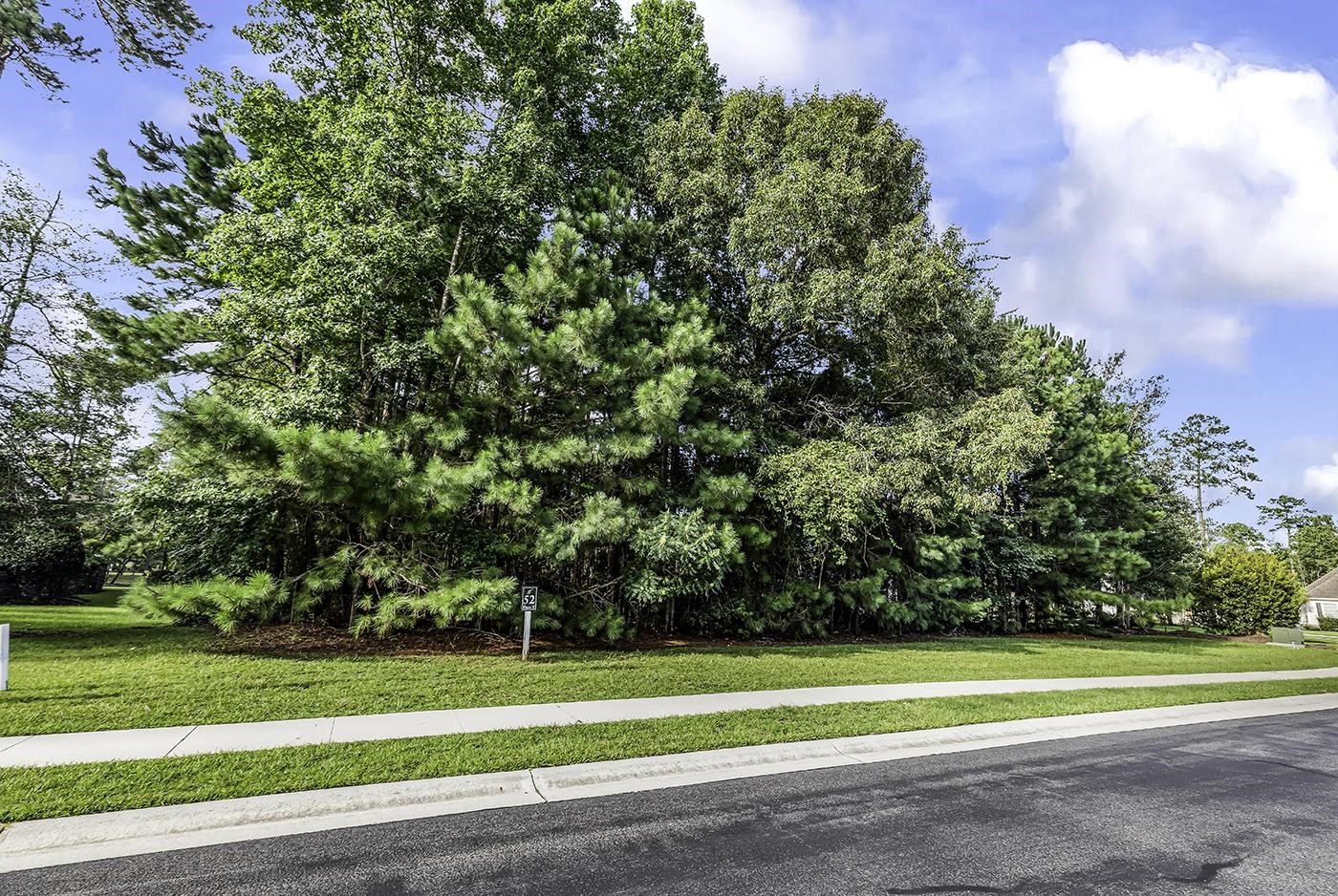 155 Low Country Loop