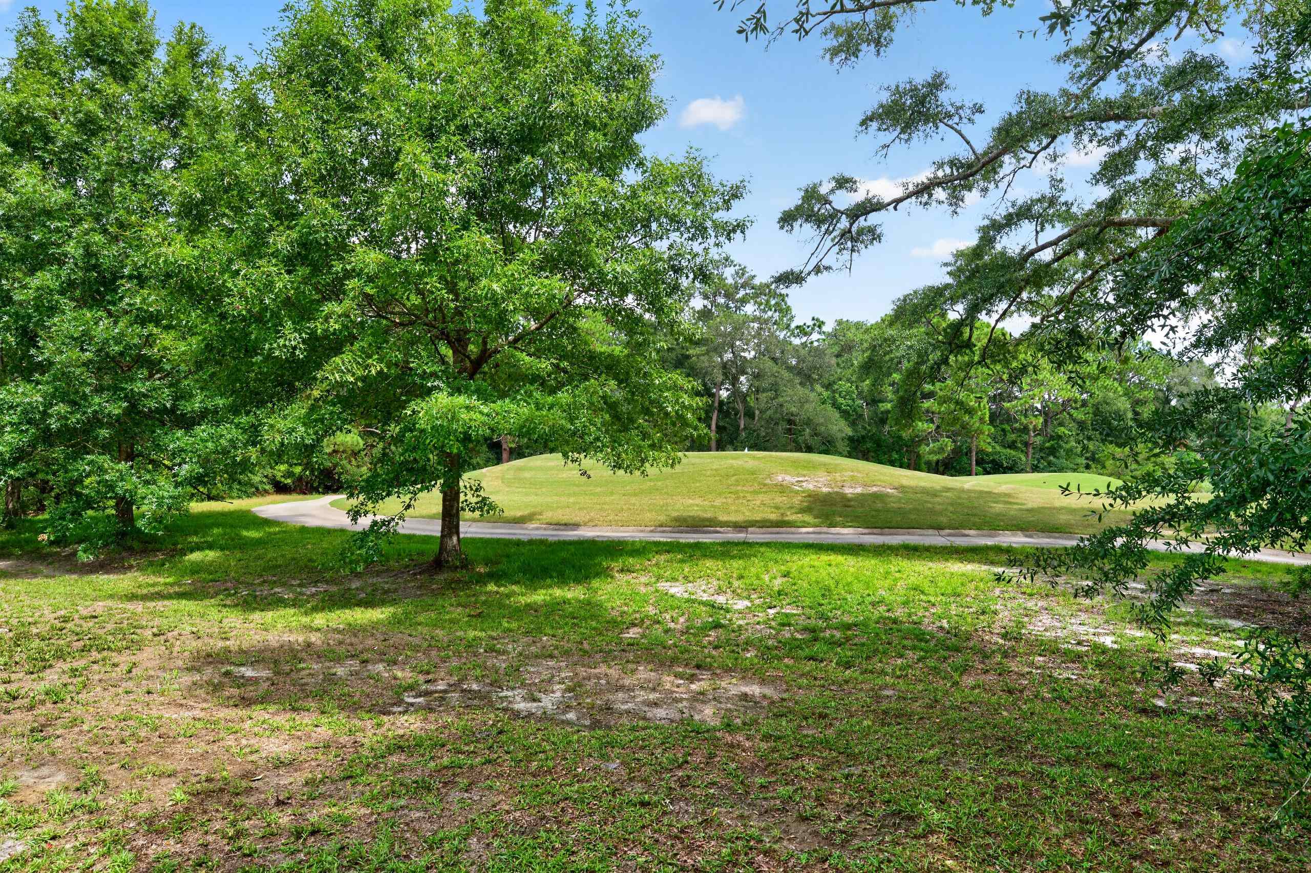 466 Old Plantation Dr.
