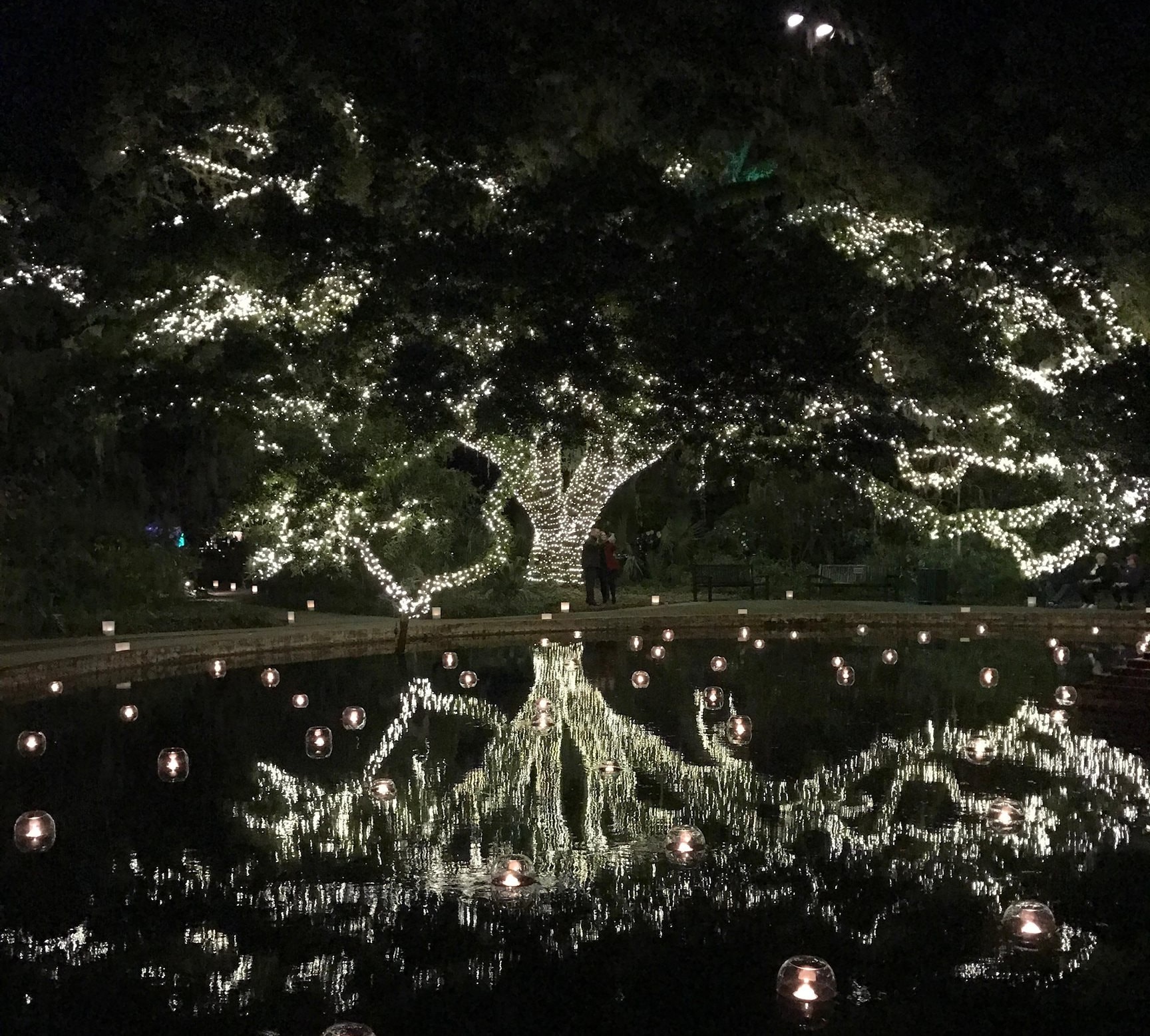 280 Georgetown Dr.