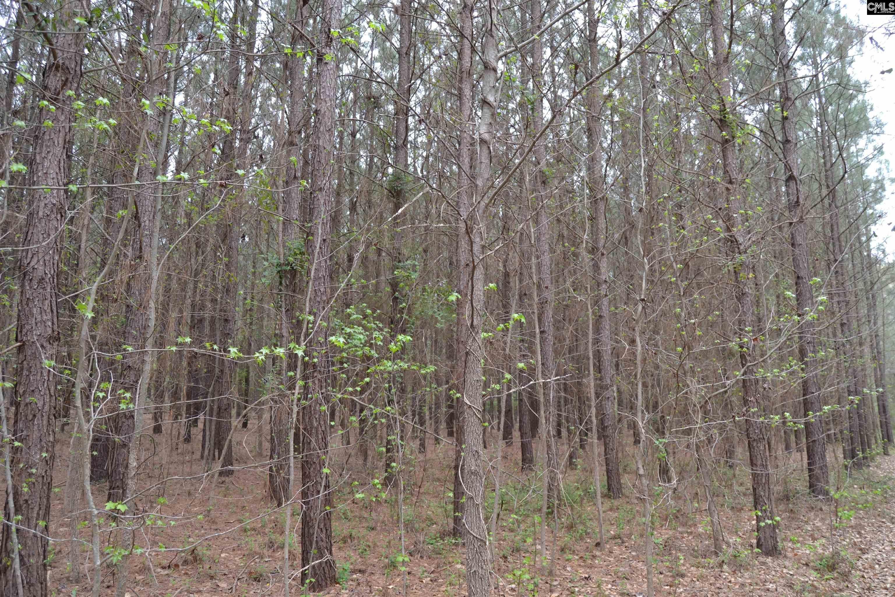 1307 Farming Creek Road