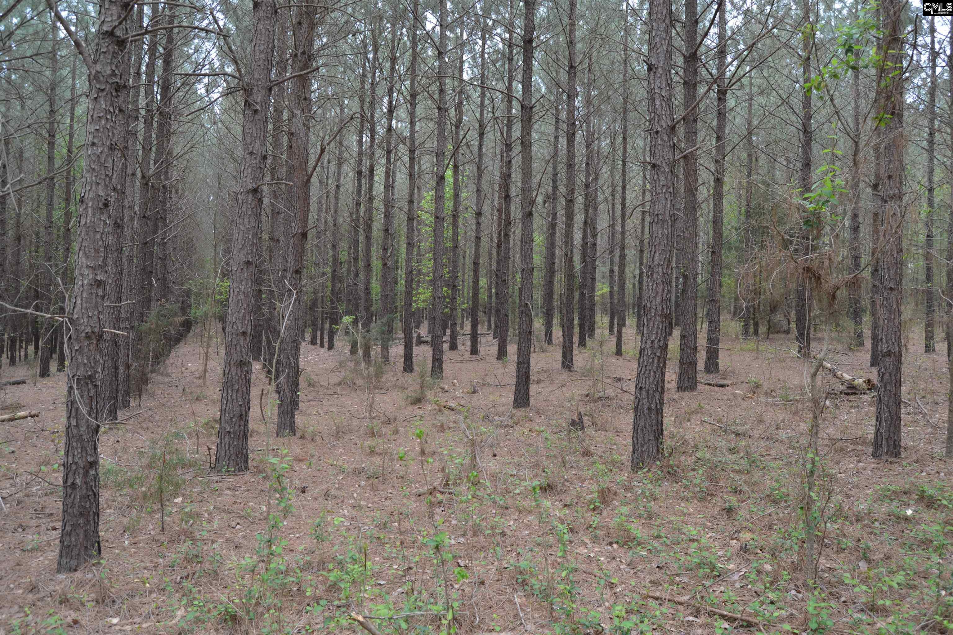 1309 Farming Creek Road