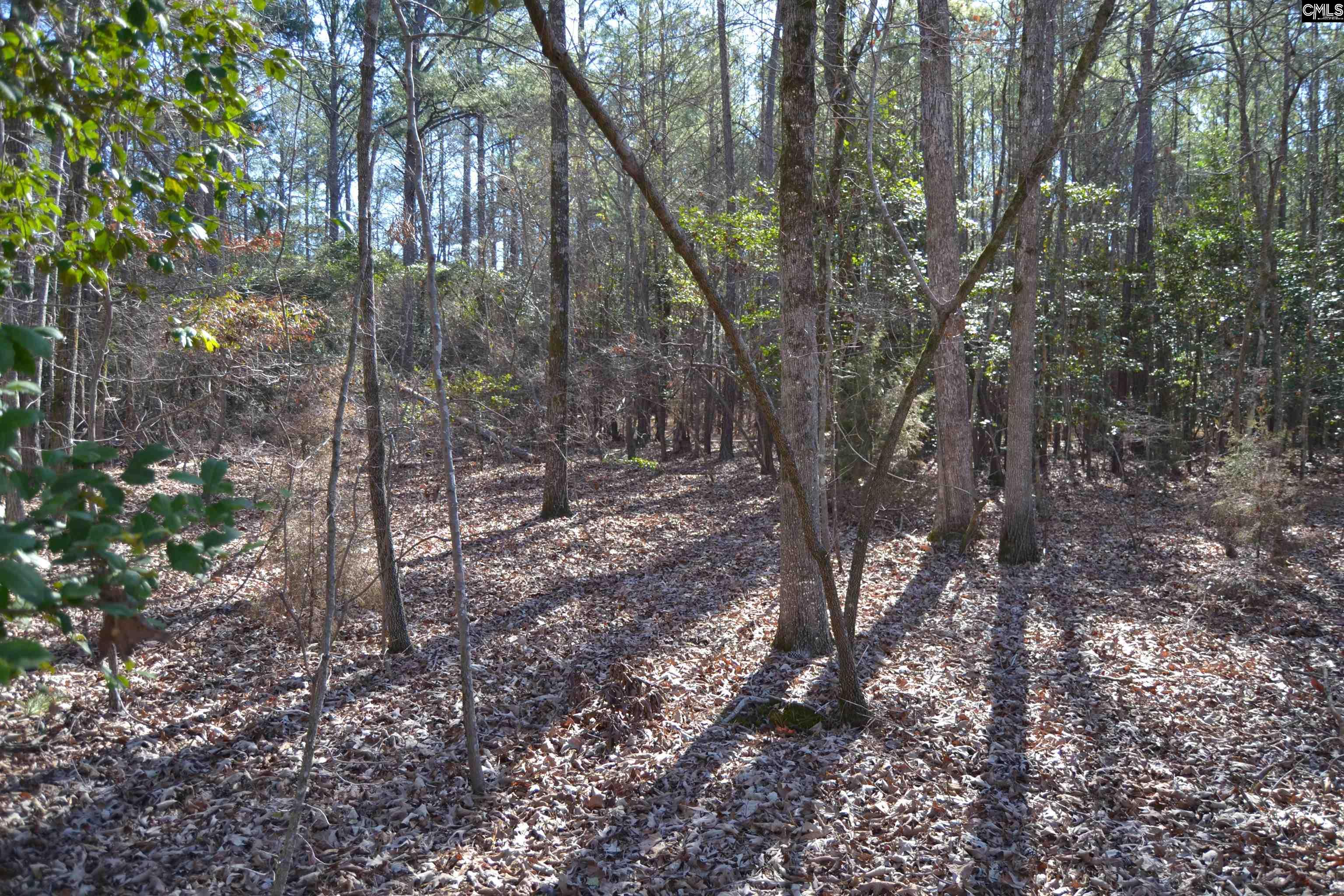 4051 Hard Scrabble Road