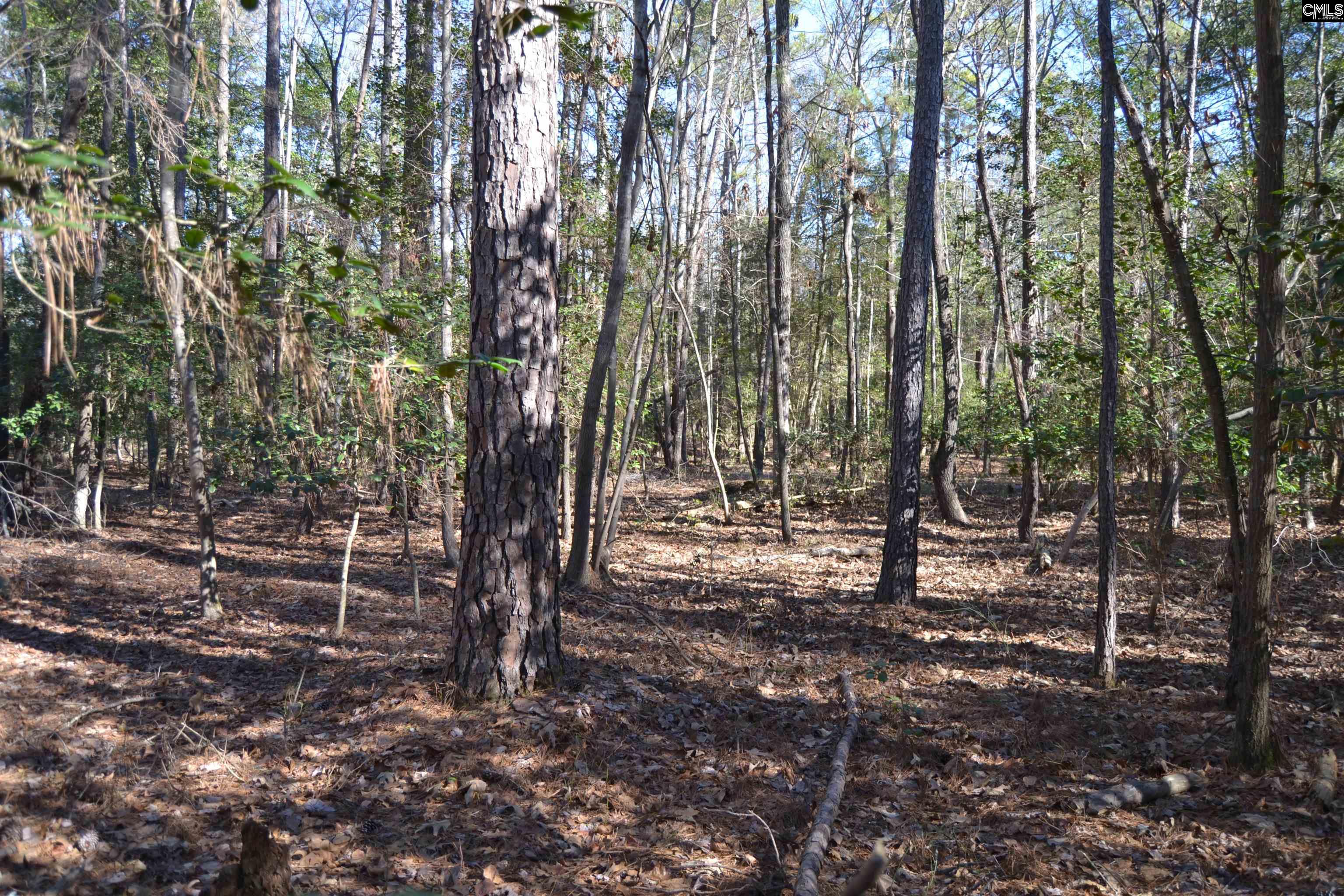 4051 Hard Scrabble Road