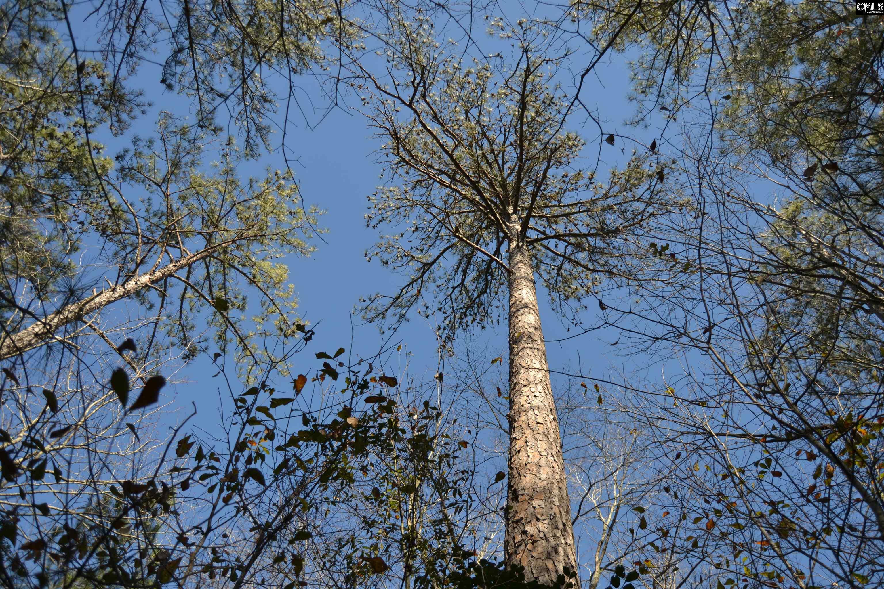 4051 Hard Scrabble Road