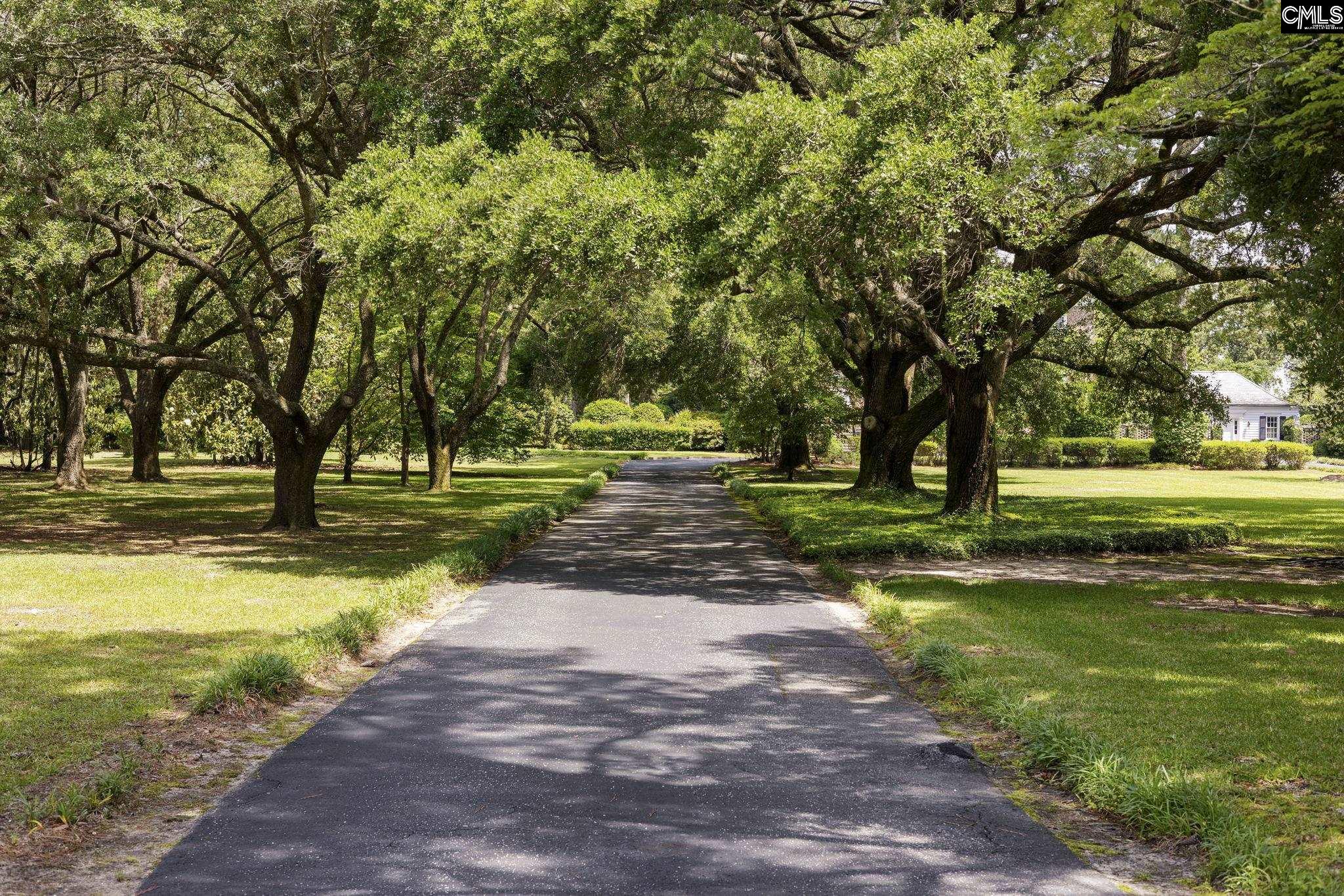 1100 W Carolina Avenue