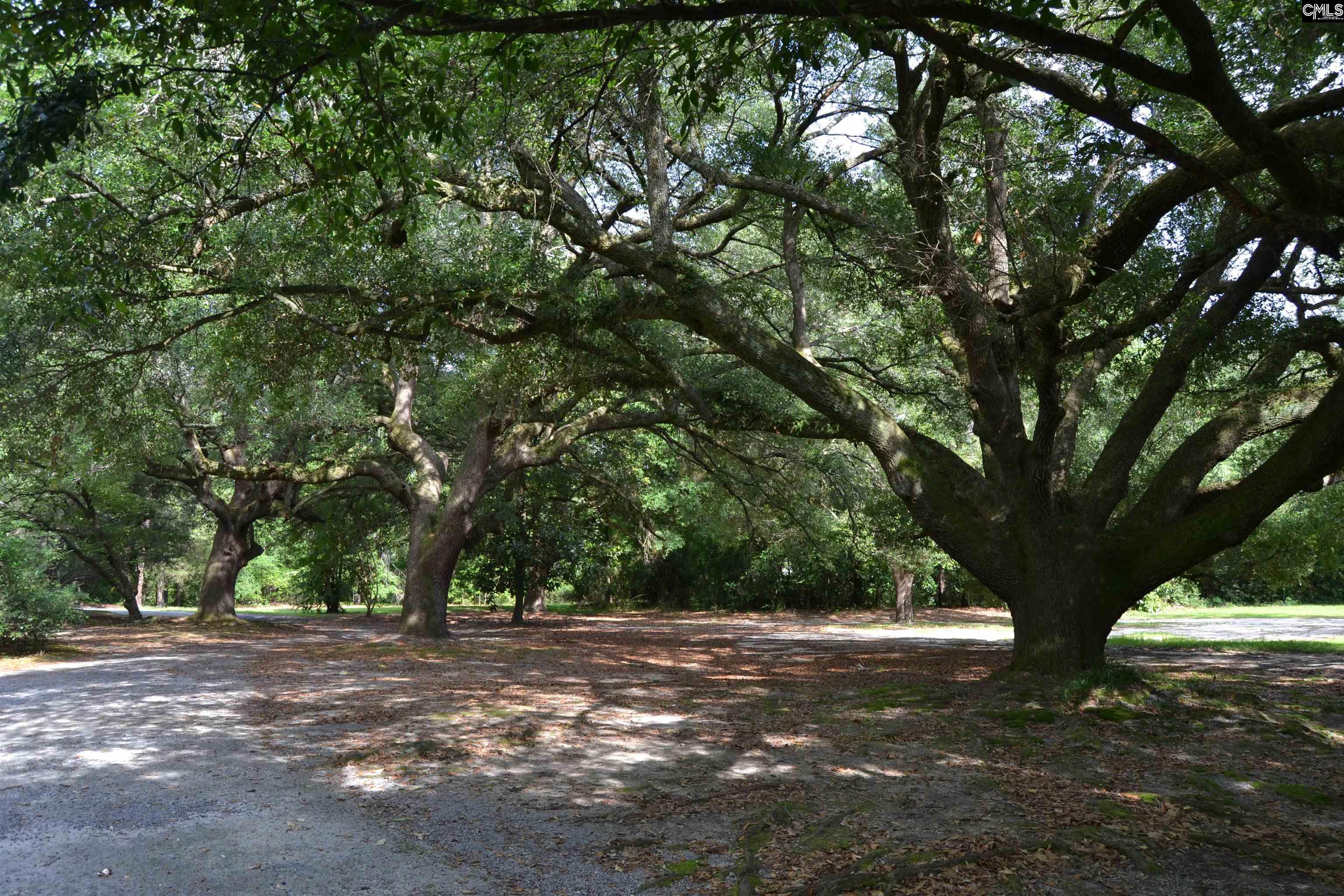 1100 W Carolina Avenue