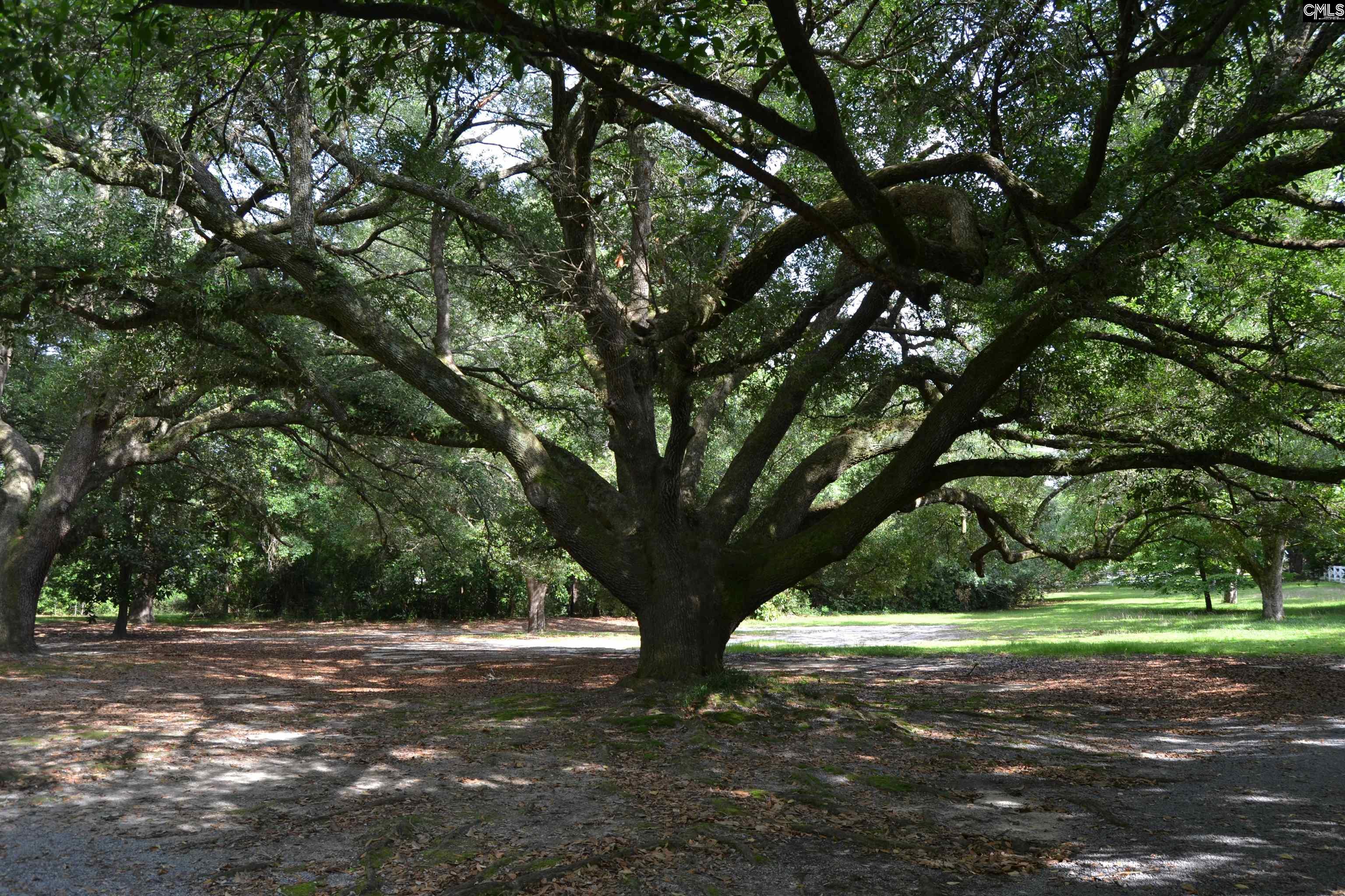 1100 W Carolina Avenue