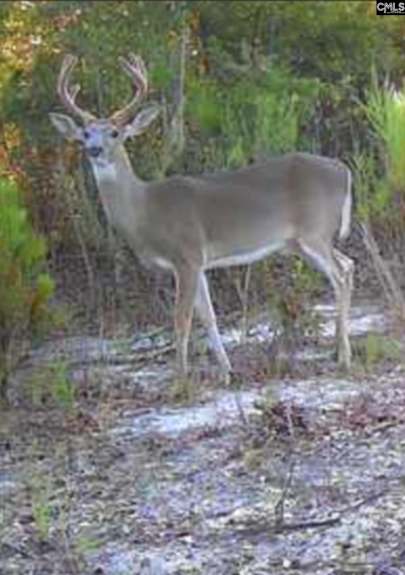 1424 Boatwright Road