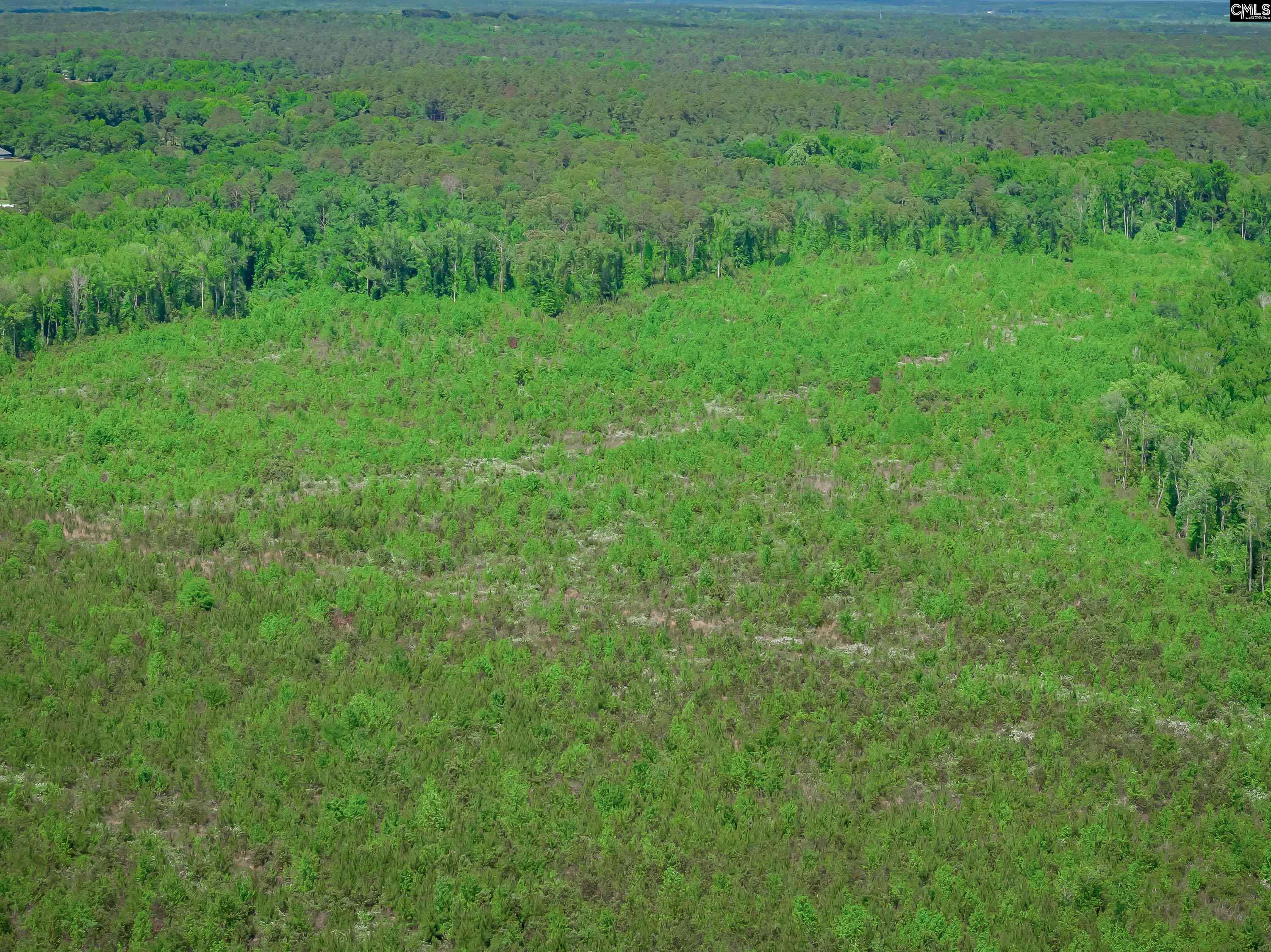 377 Sweet Street Unit: Lot 6