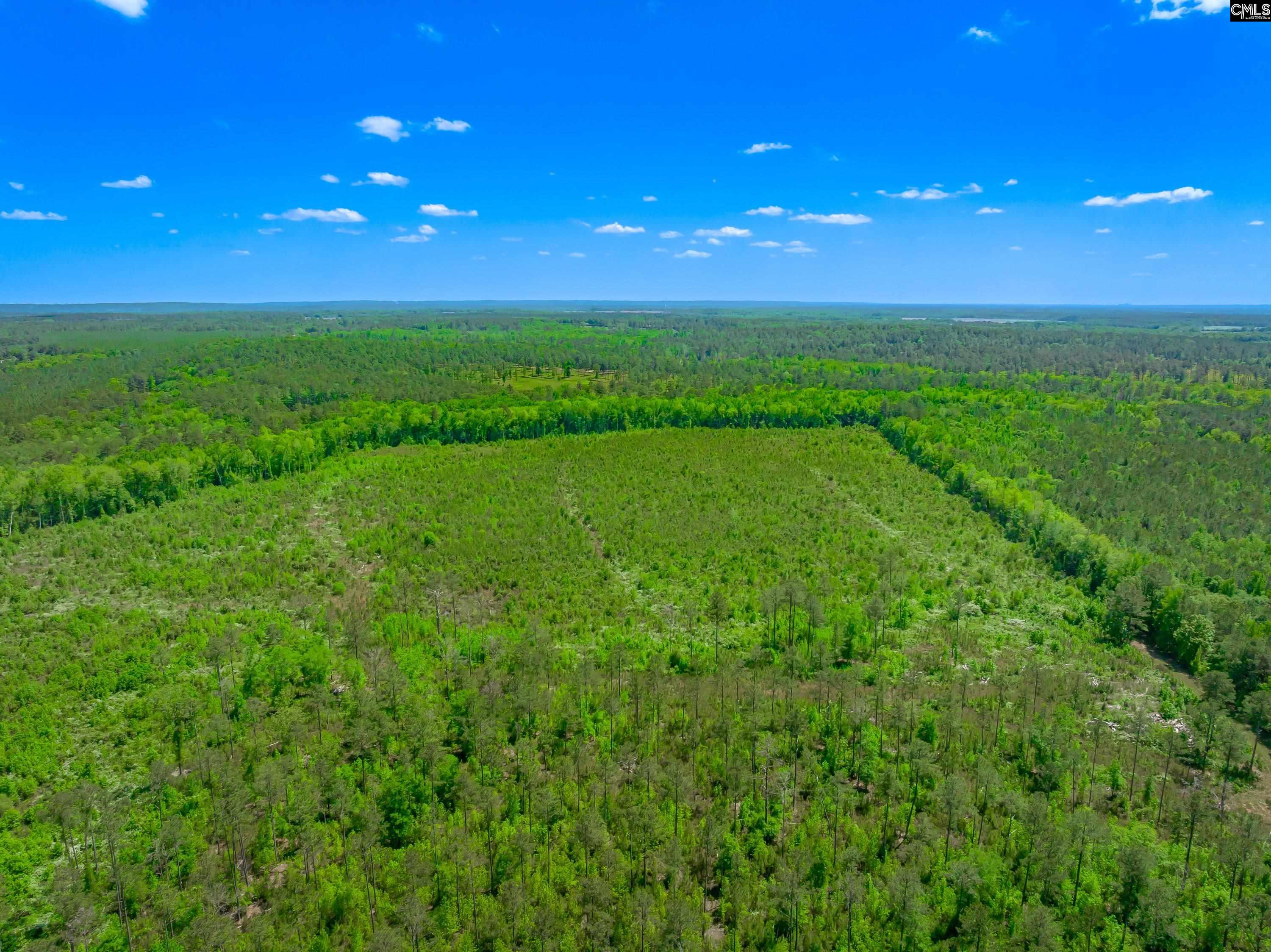 377 Sweet Street Unit: Lot 6