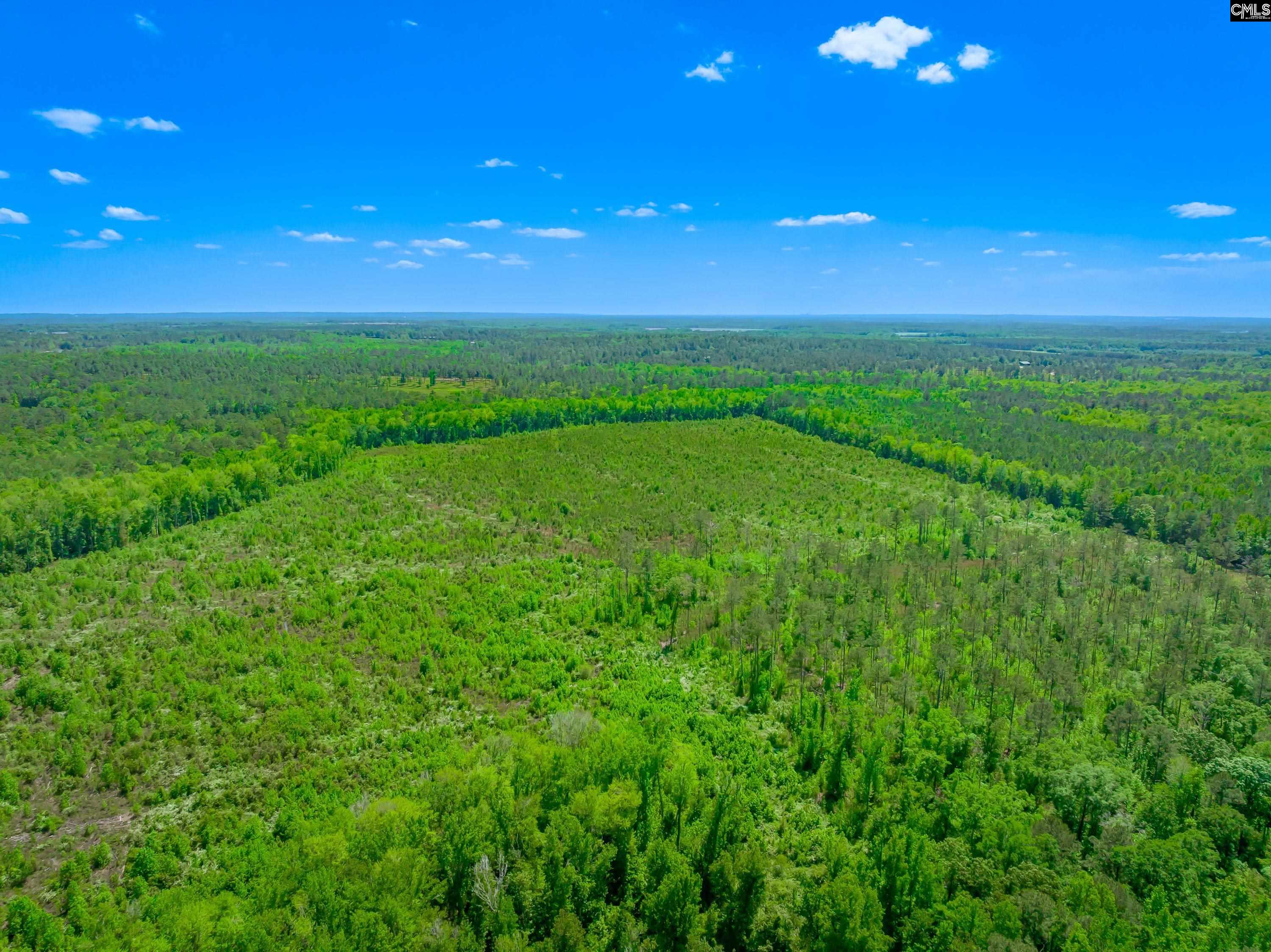 377 Sweet Street Unit: Lot 6