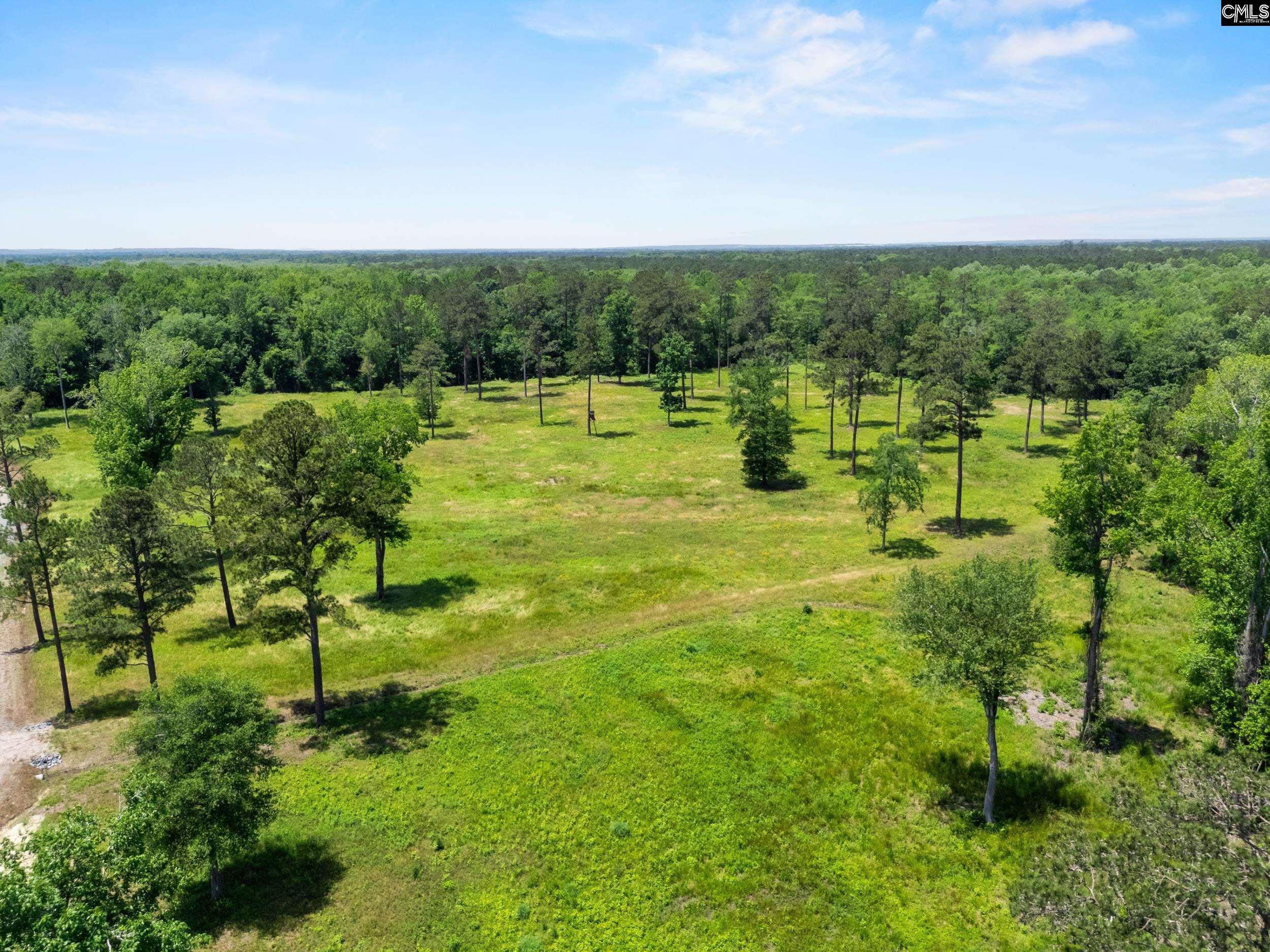 1626-01 Sumter Highway Unit: Lot 1
