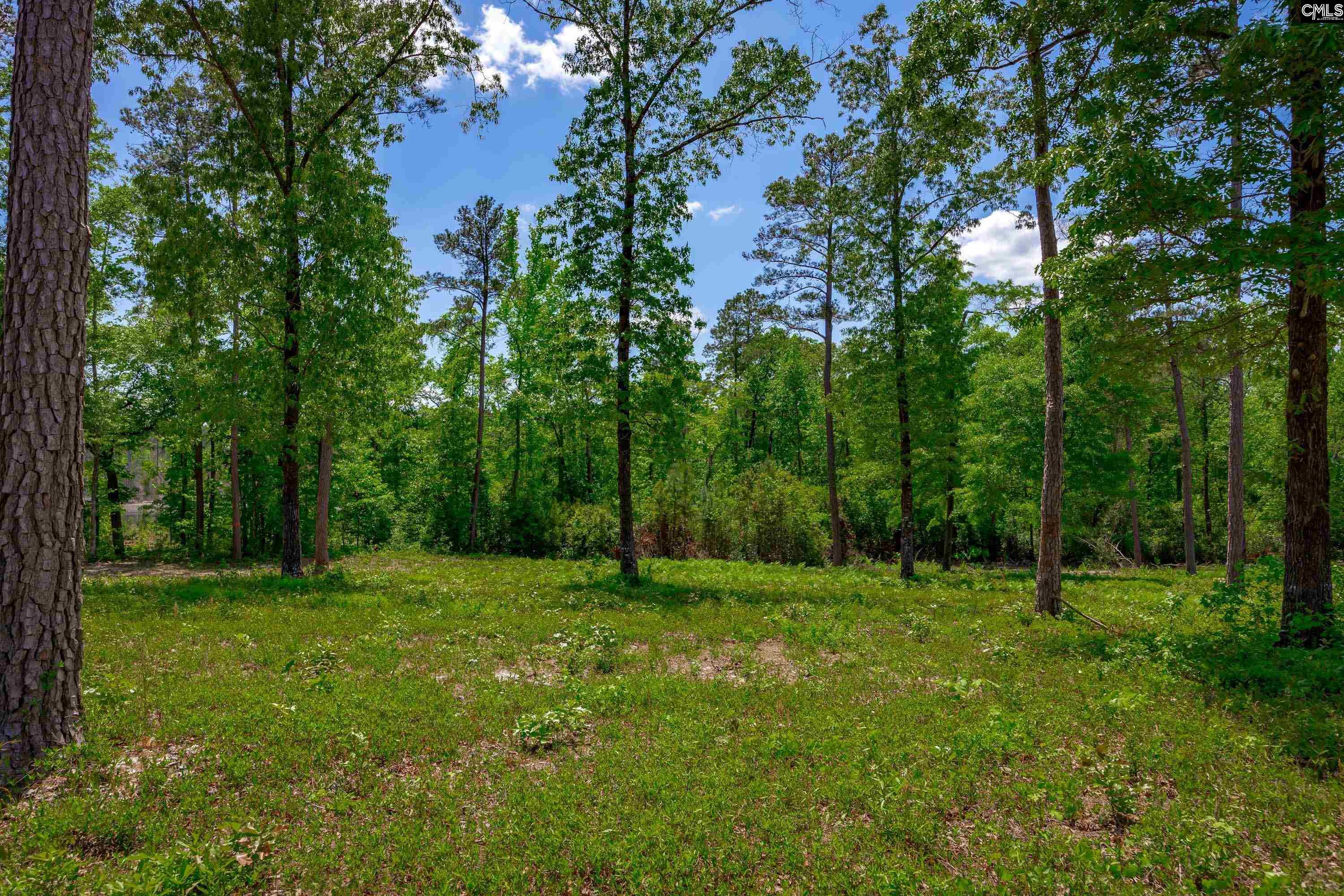1626-01 Sumter Highway Unit: Lot 1