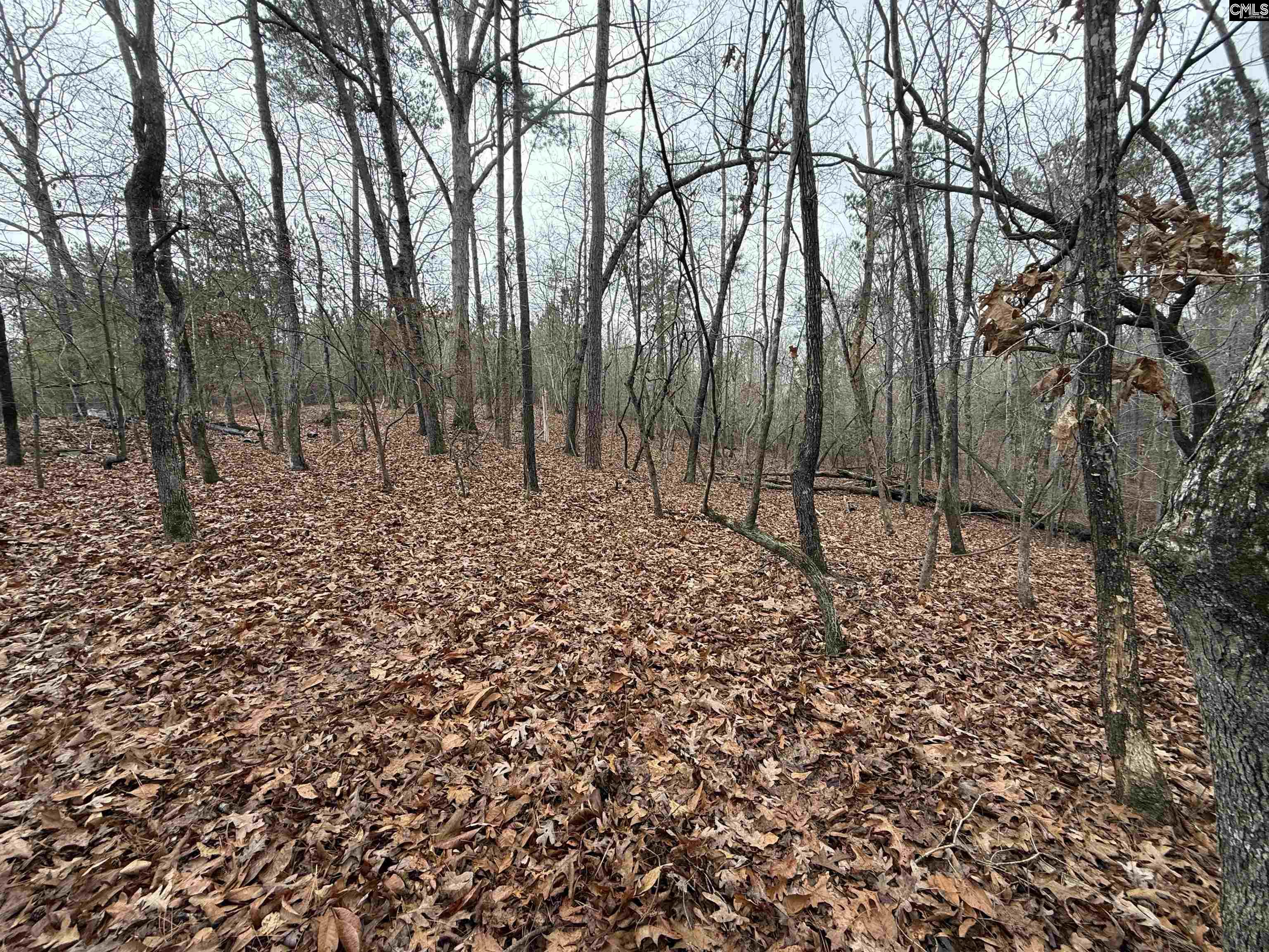 1058 Hinson Branch Road Unit: 1