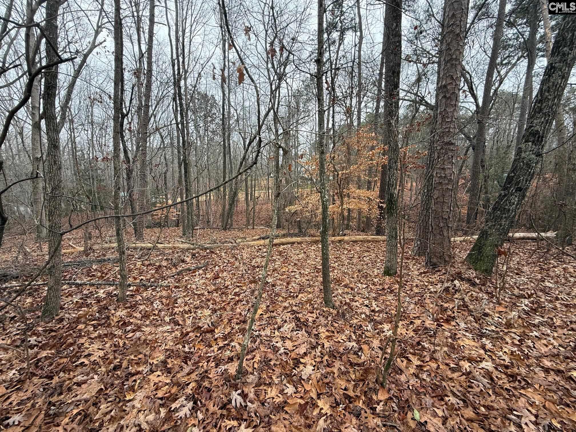 1058 Hinson Branch Road Unit: 1