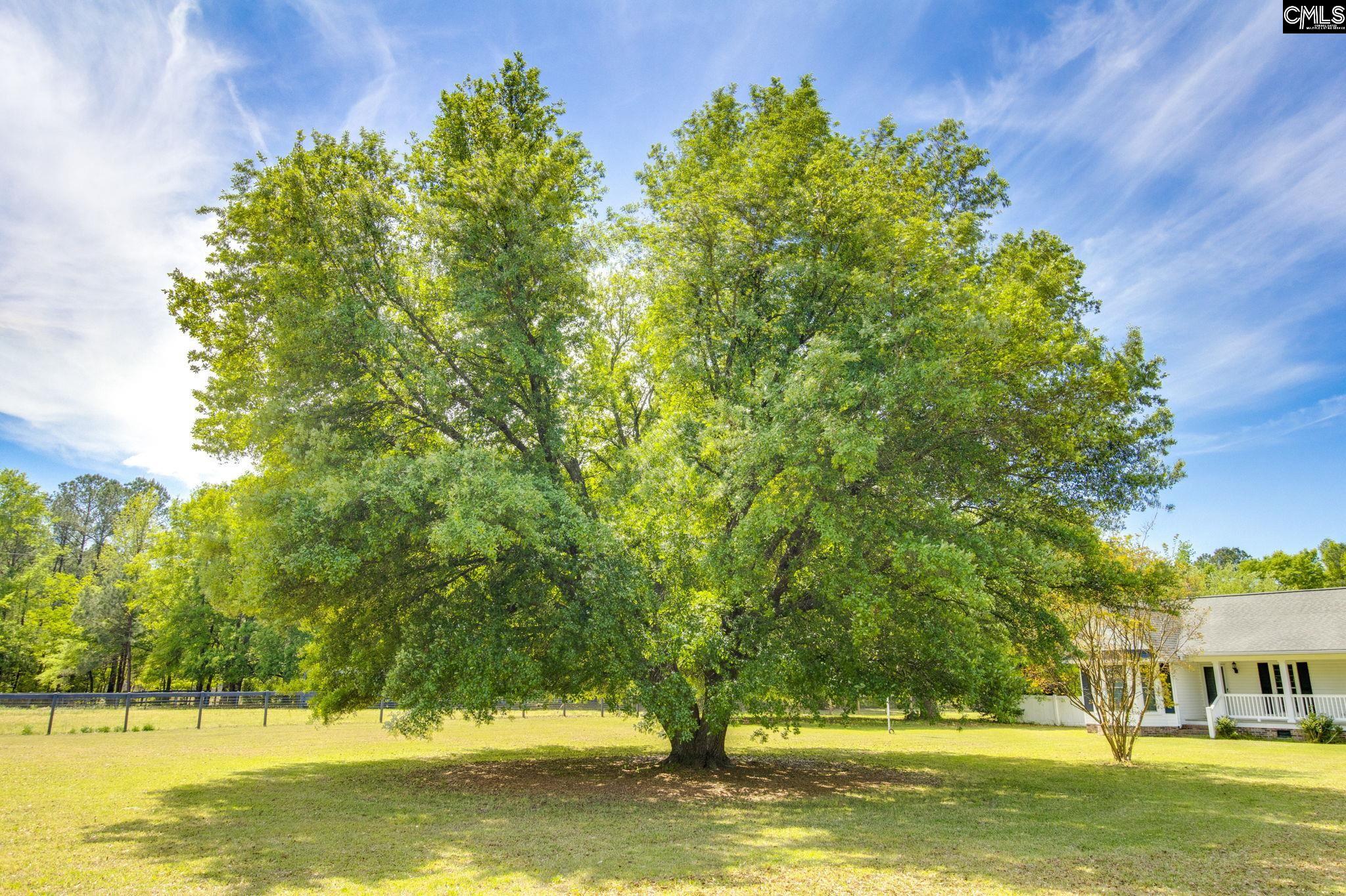 599 Charlotte Thompson School