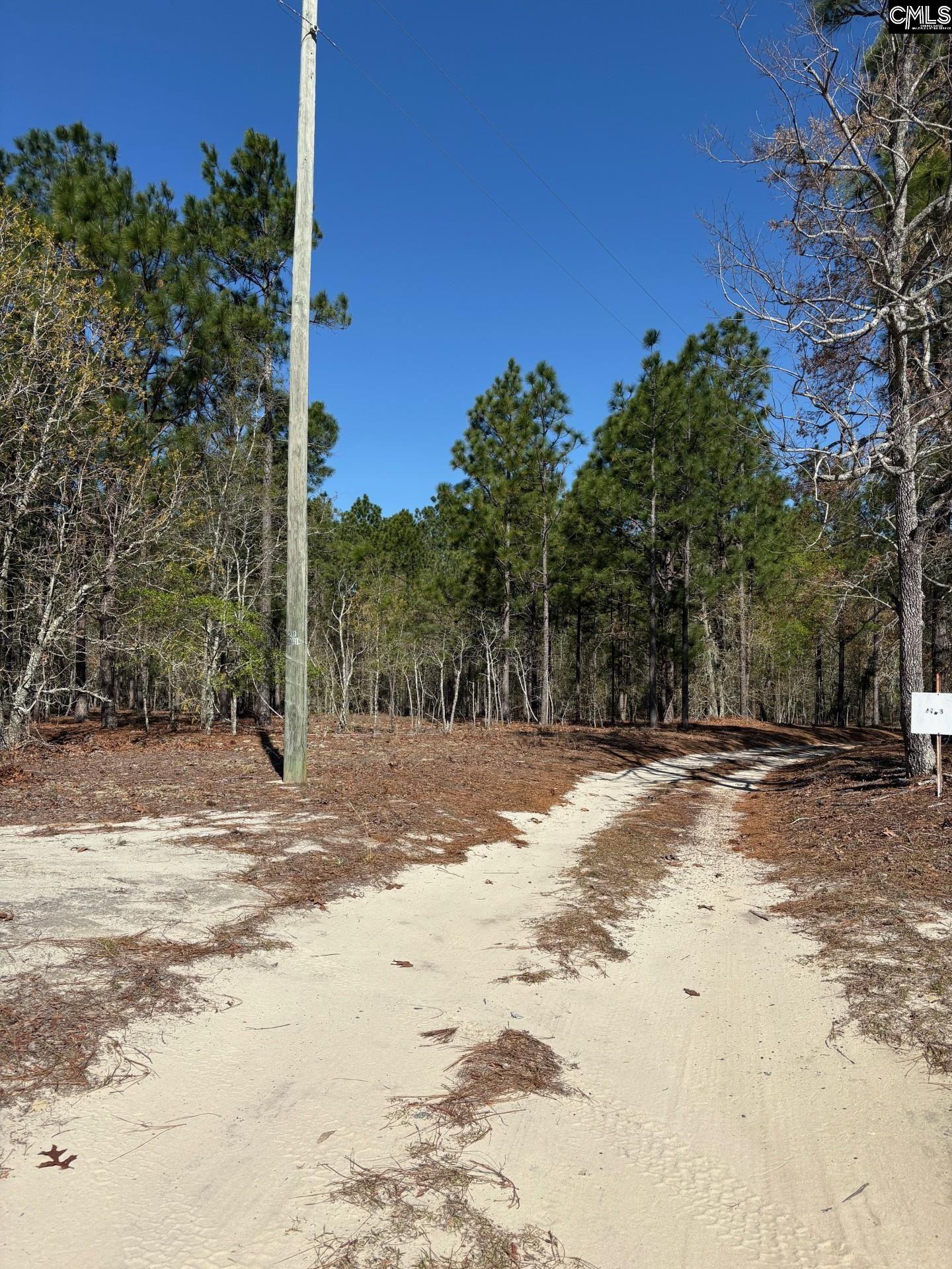 0 0 East Old Camden Hwy