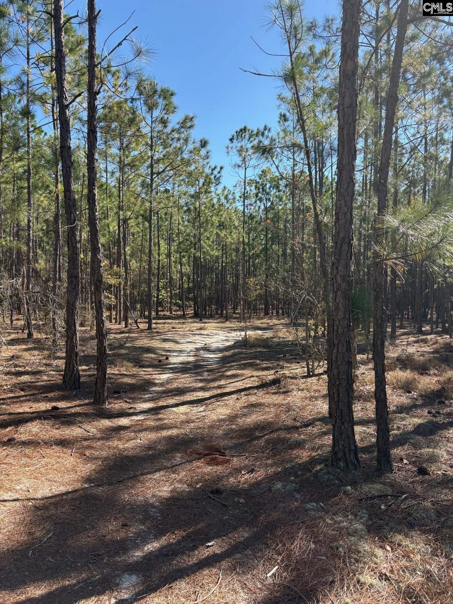 0 0 East Old Camden Hwy