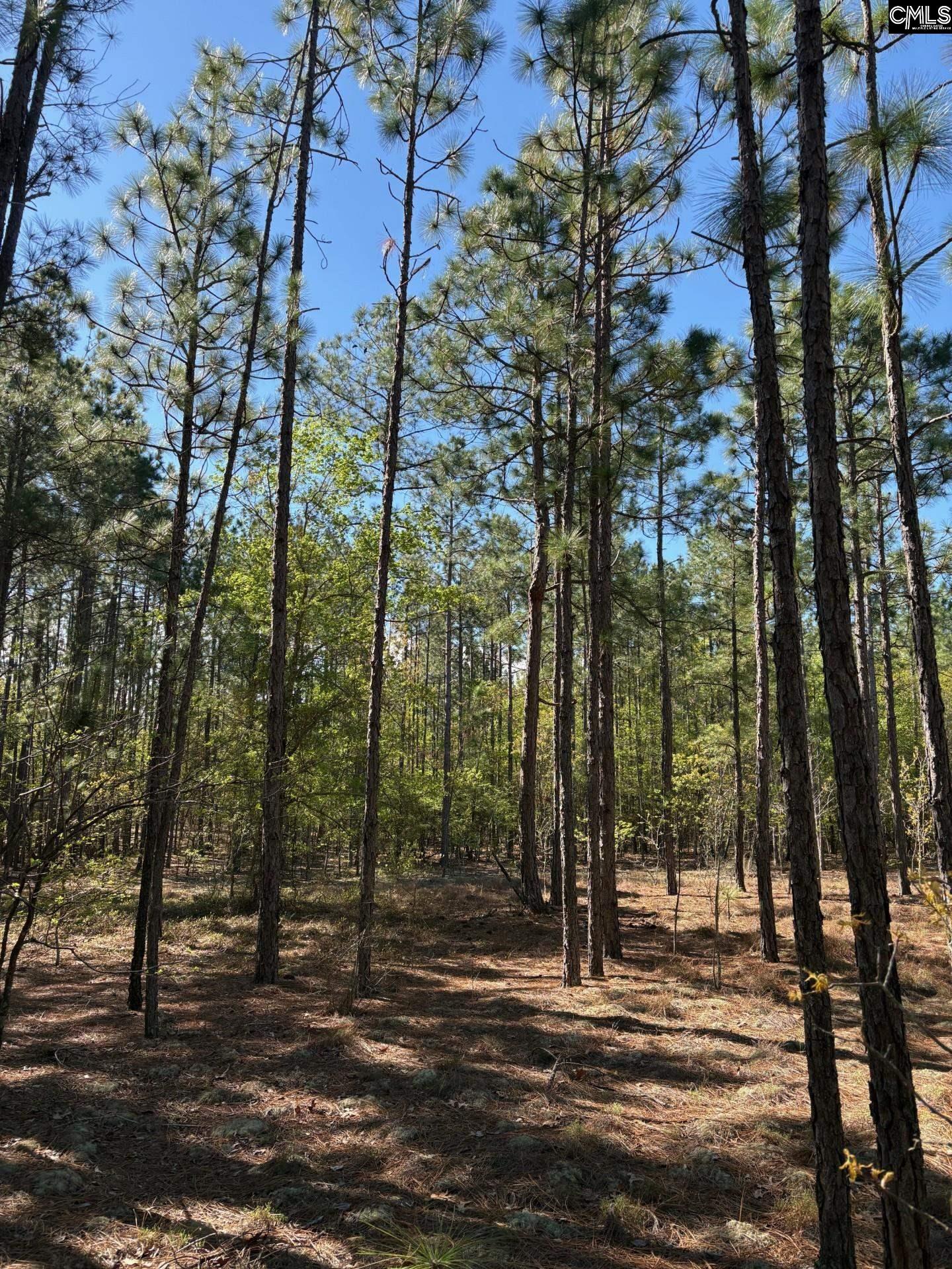 0 0 East Old Camden Hwy