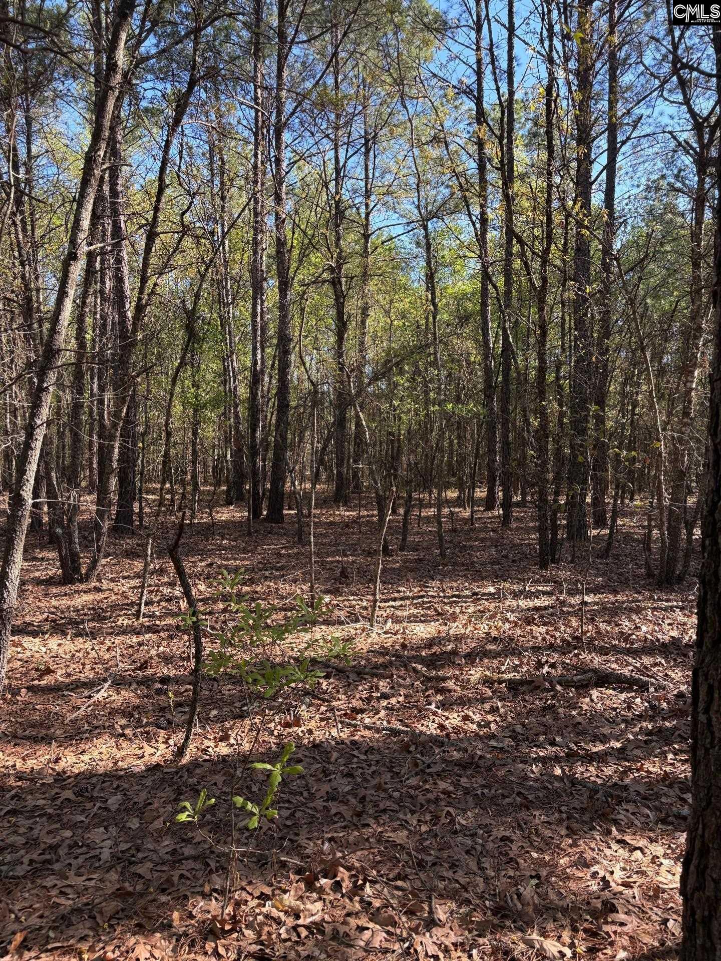 0 0 East Old Camden Hwy