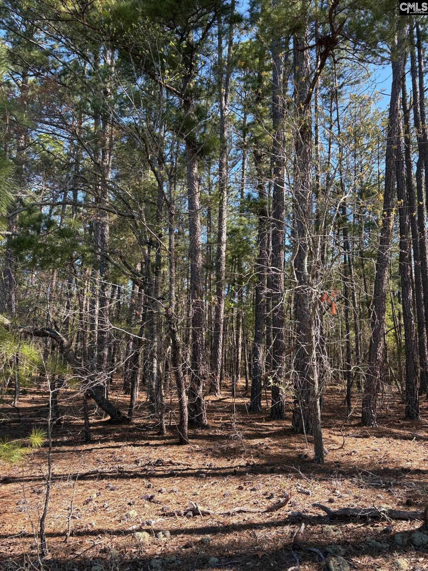 0 0 East Old Camden Hwy