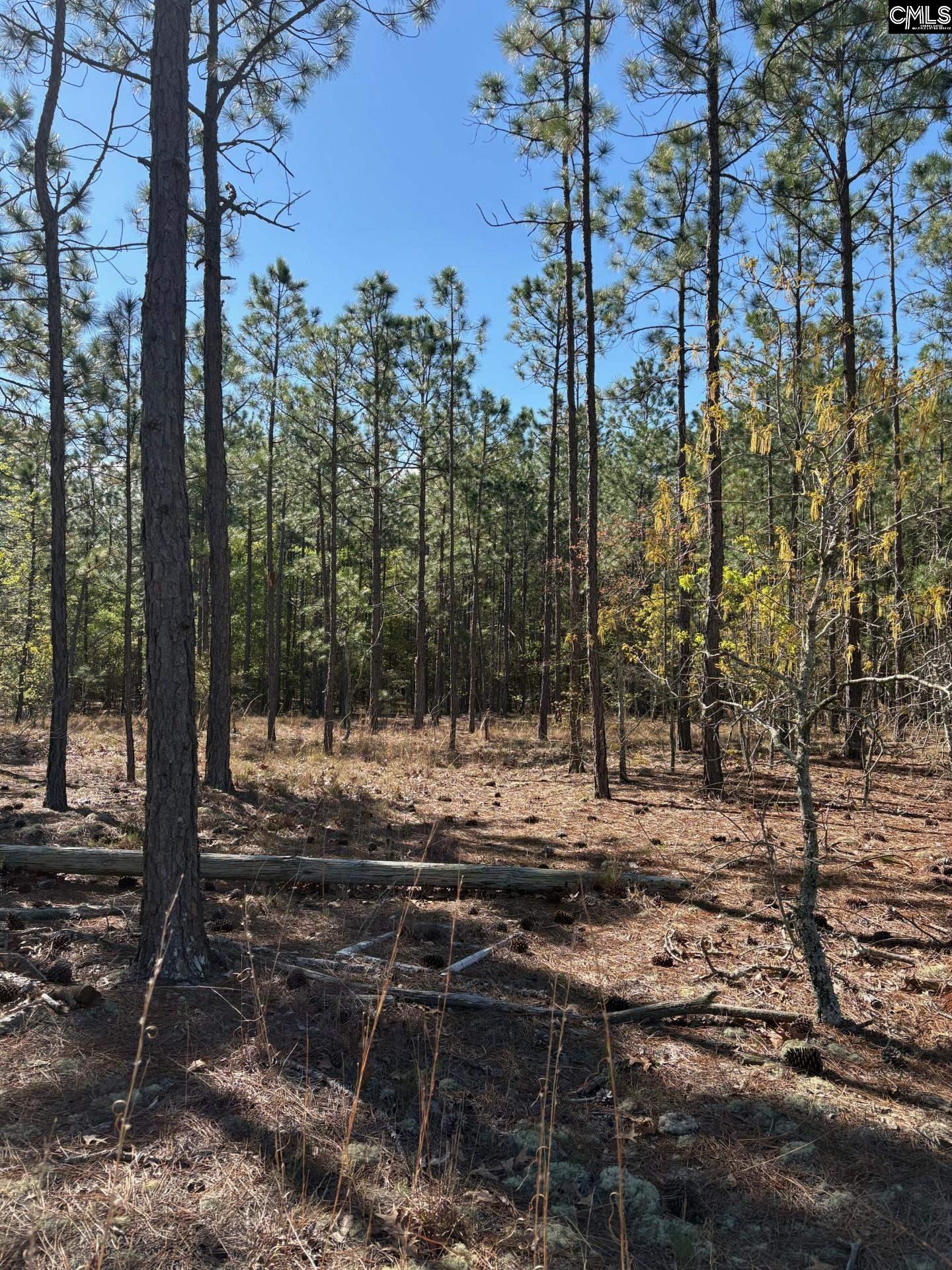 0 0 East Old Camden Hwy