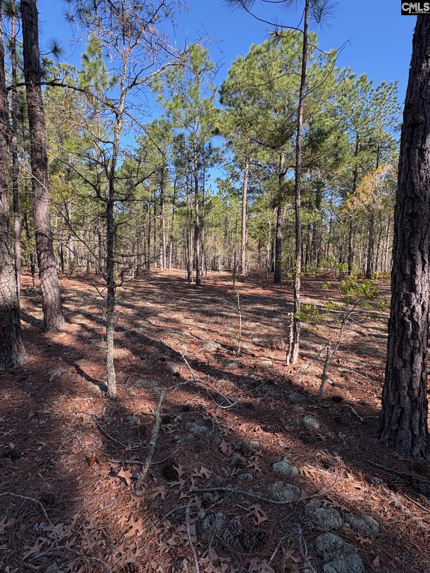 0 0 East Old Camden Hwy