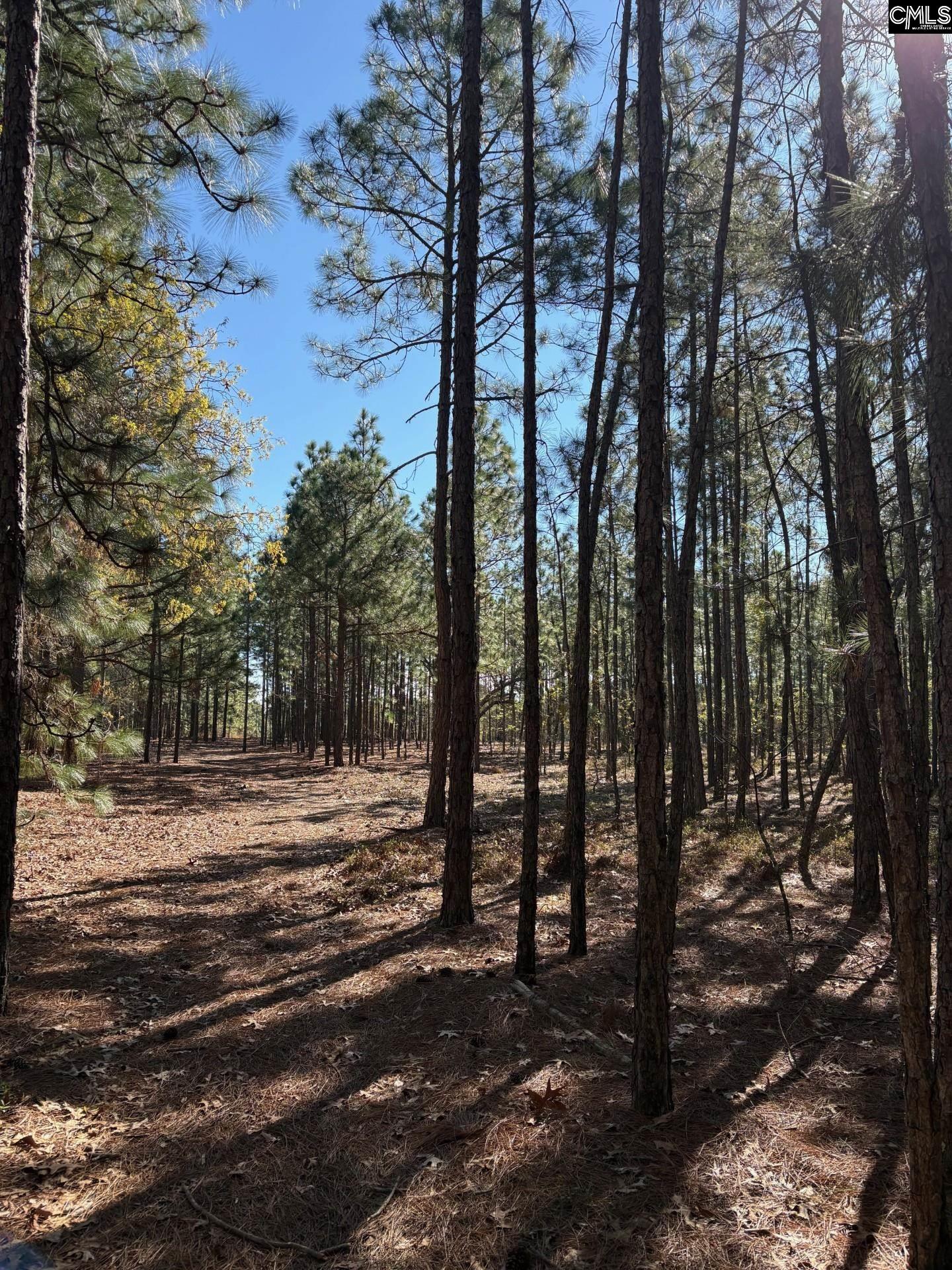 0 0 East Old Camden Hwy