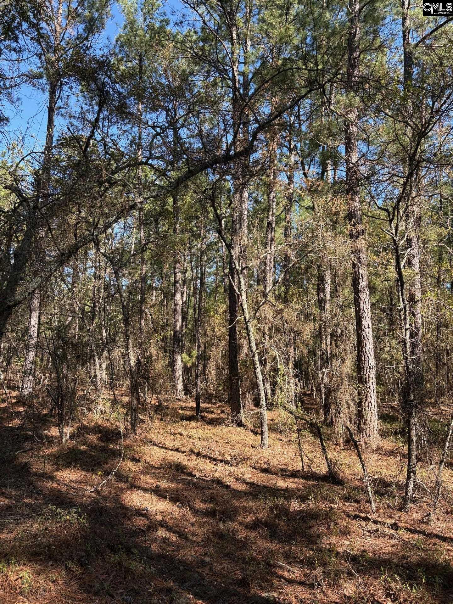 0 0 East Old Camden Hwy