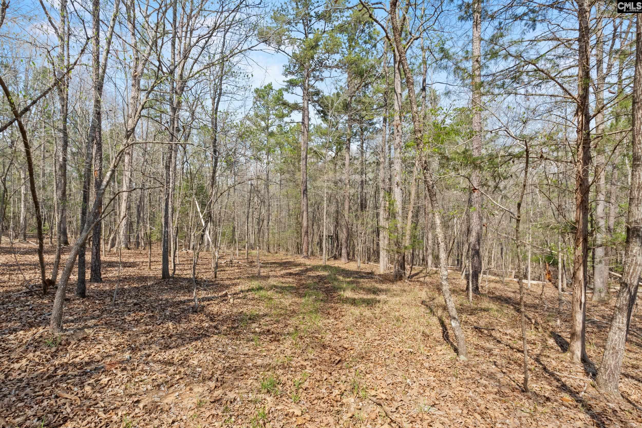 1778 White Road