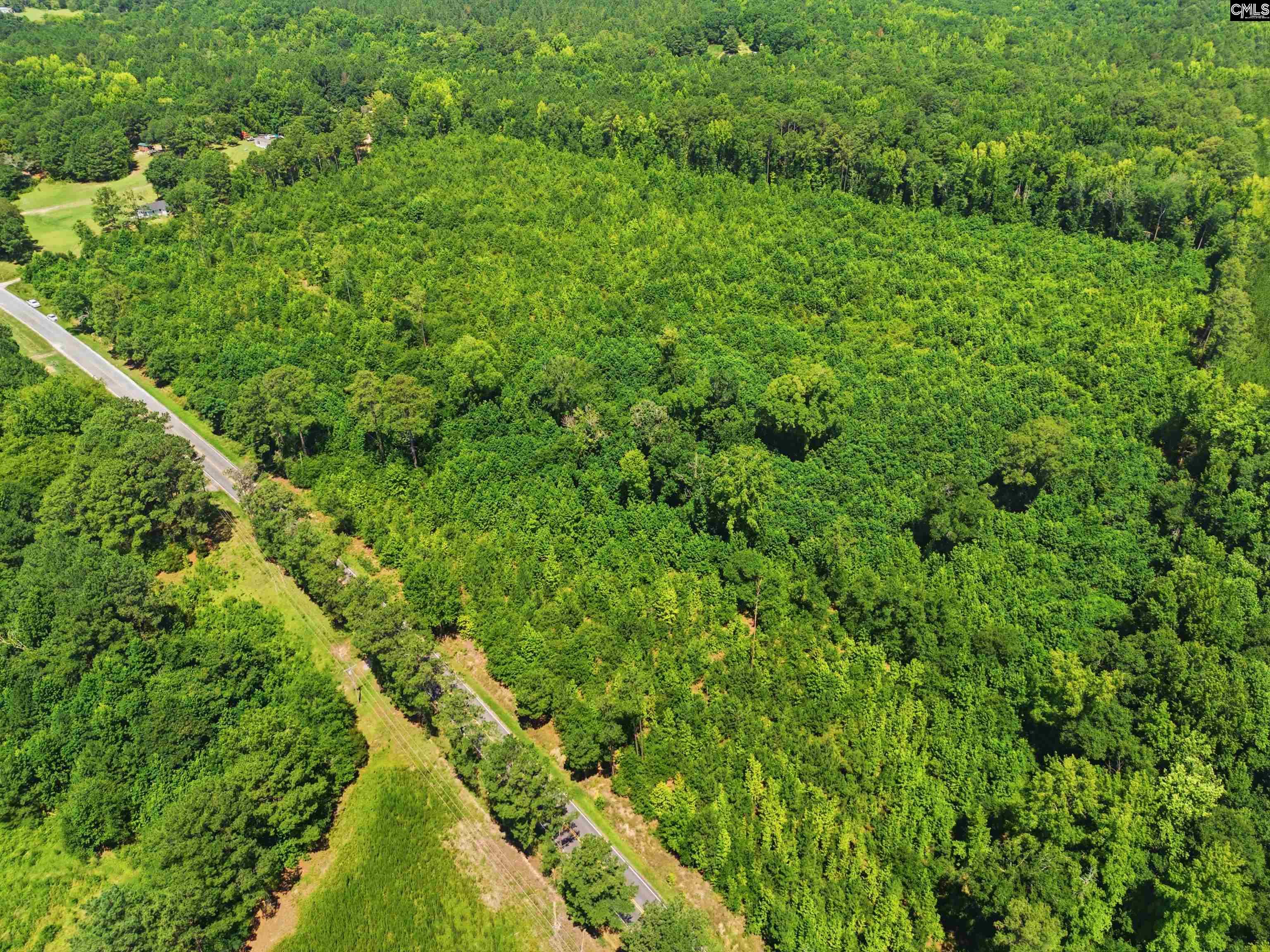Borden Road