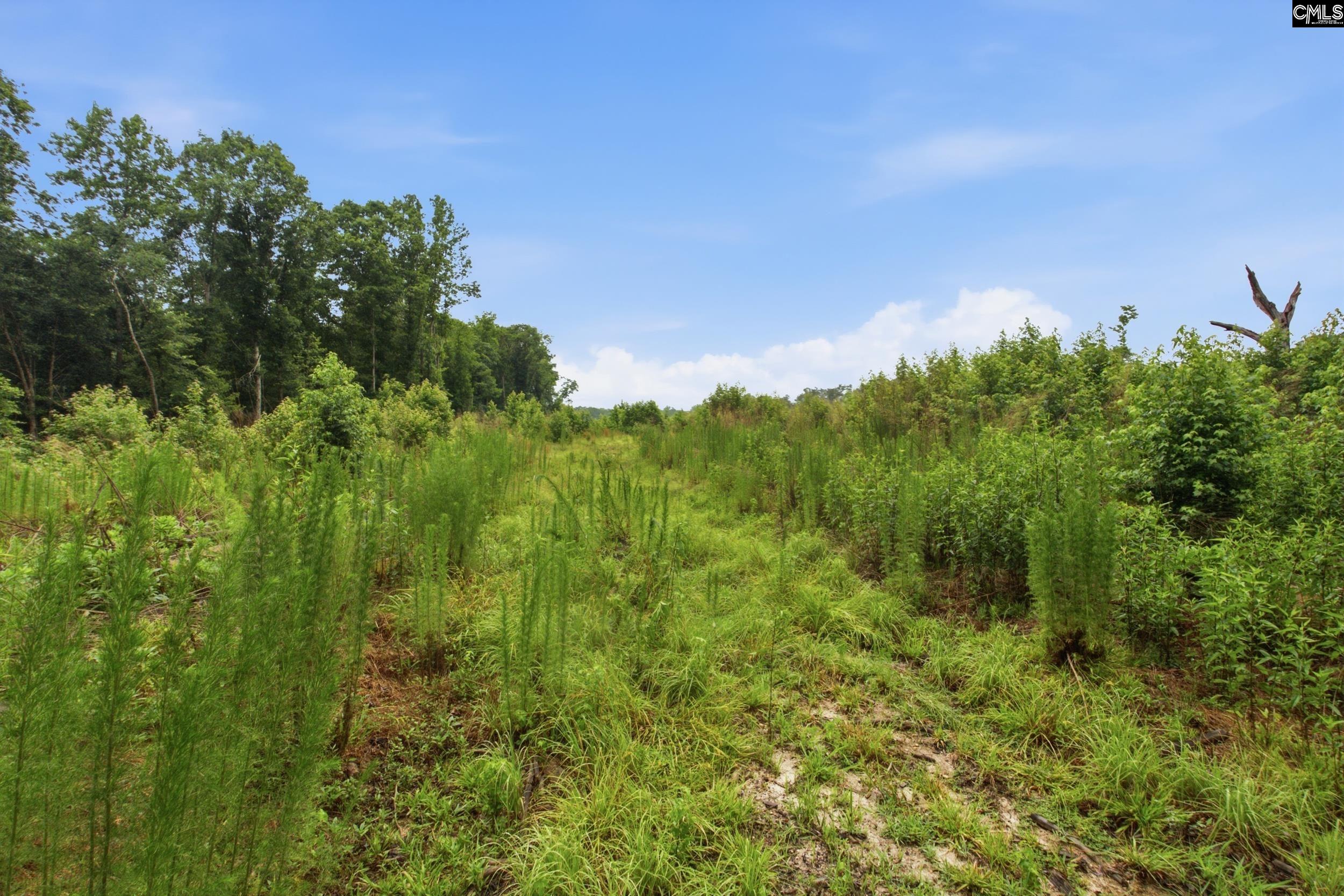 3390 Hunter Road LOT 2