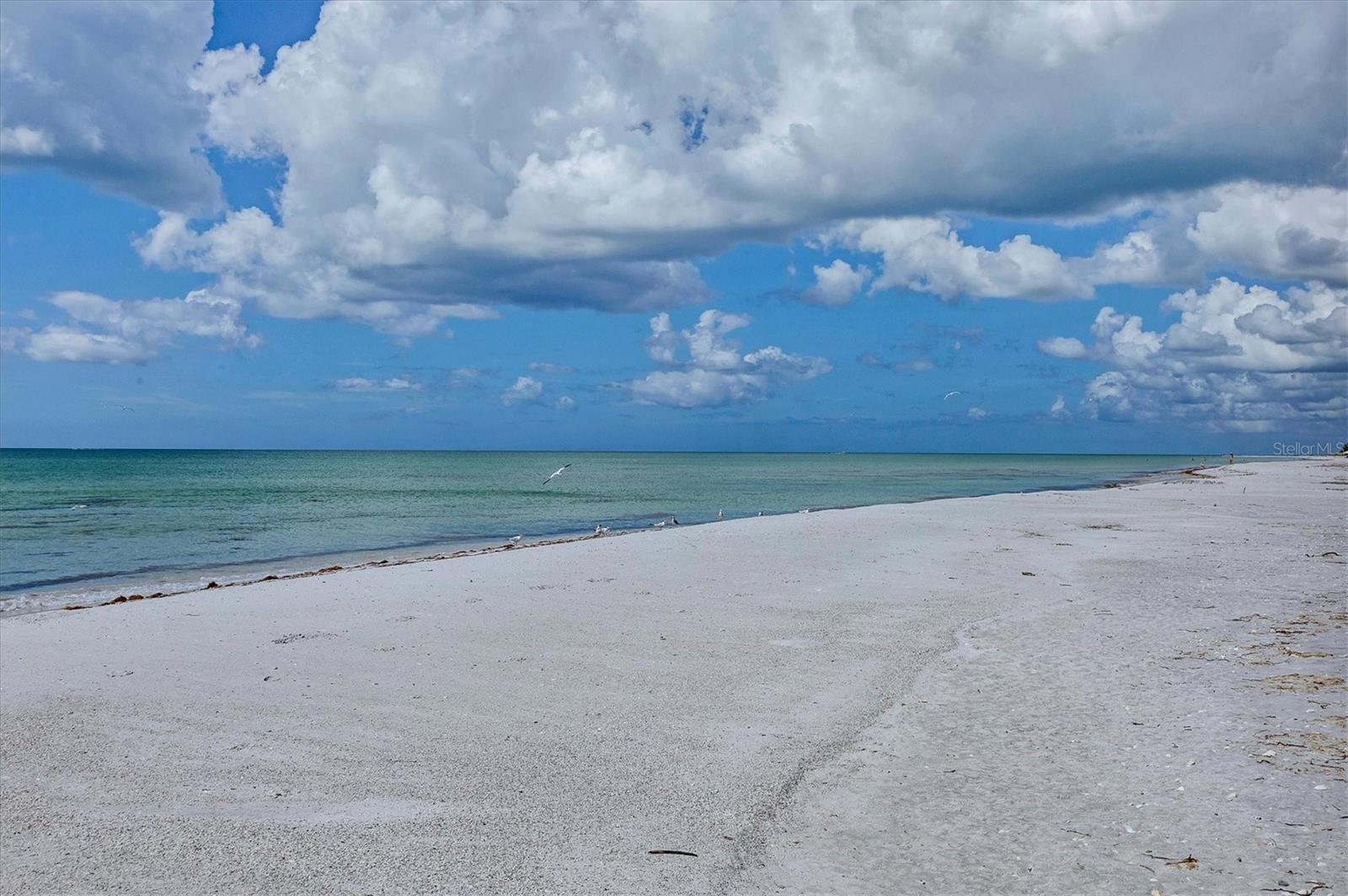 5000 GASPARILLA RD #304