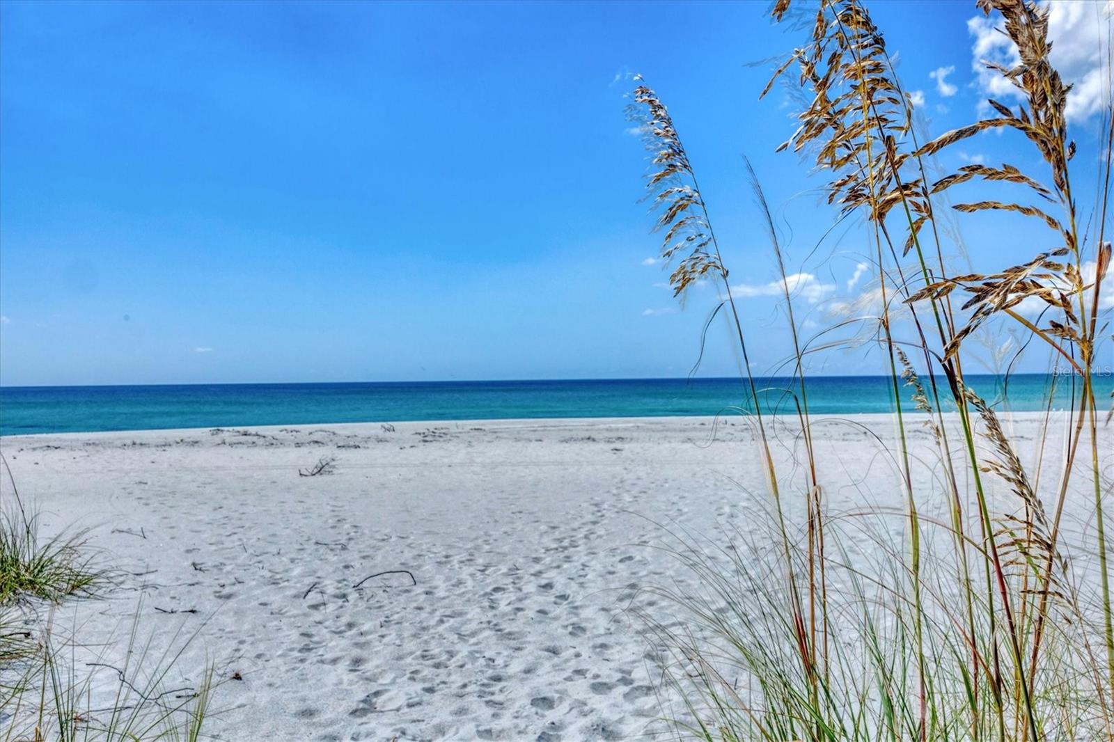 5000 GASPARILLA RD #304