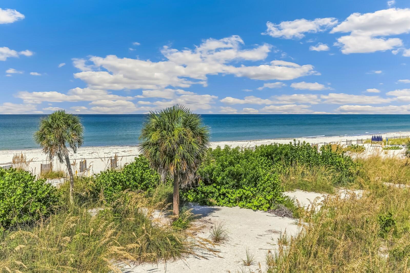 Sandy beach with two palm trees, coastal grasses, and turquoise water under a cloud-filled sky.