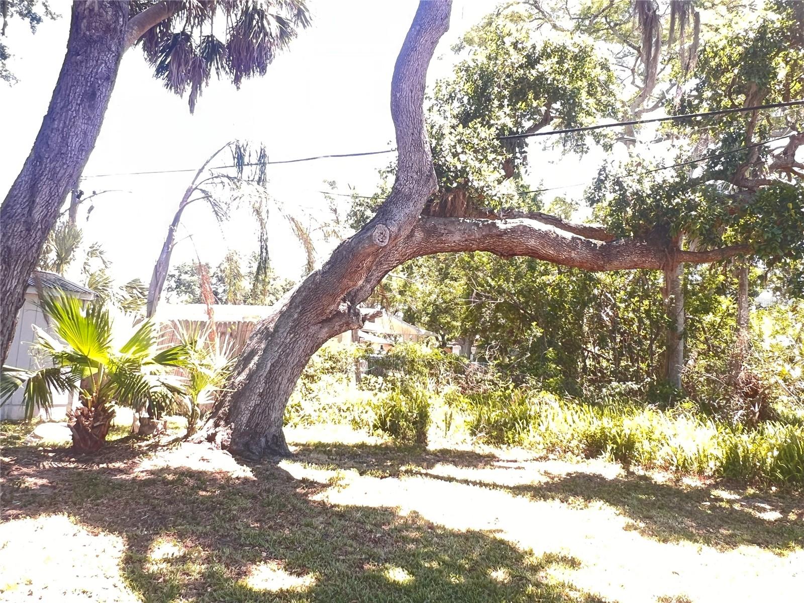 407 BAHAMA RD
