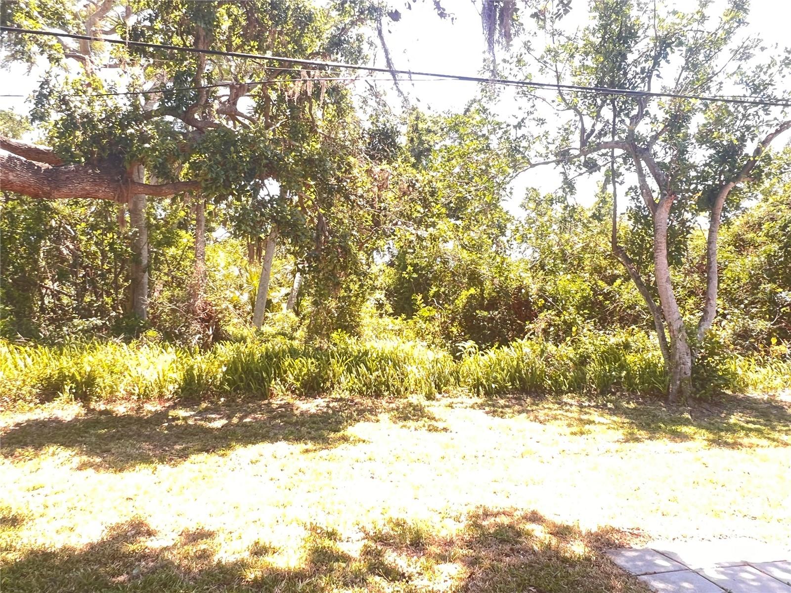 407 BAHAMA RD