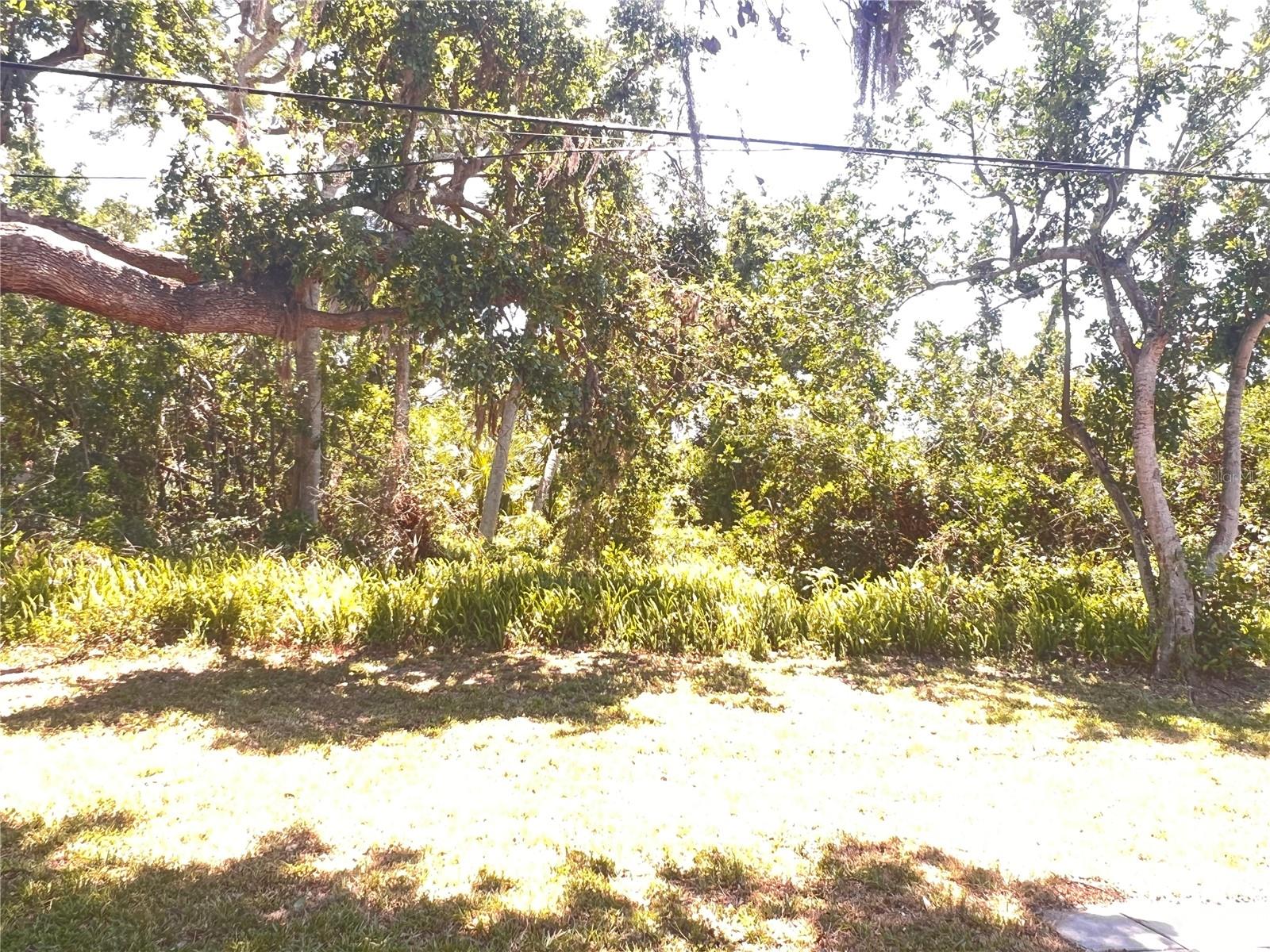 407 BAHAMA RD