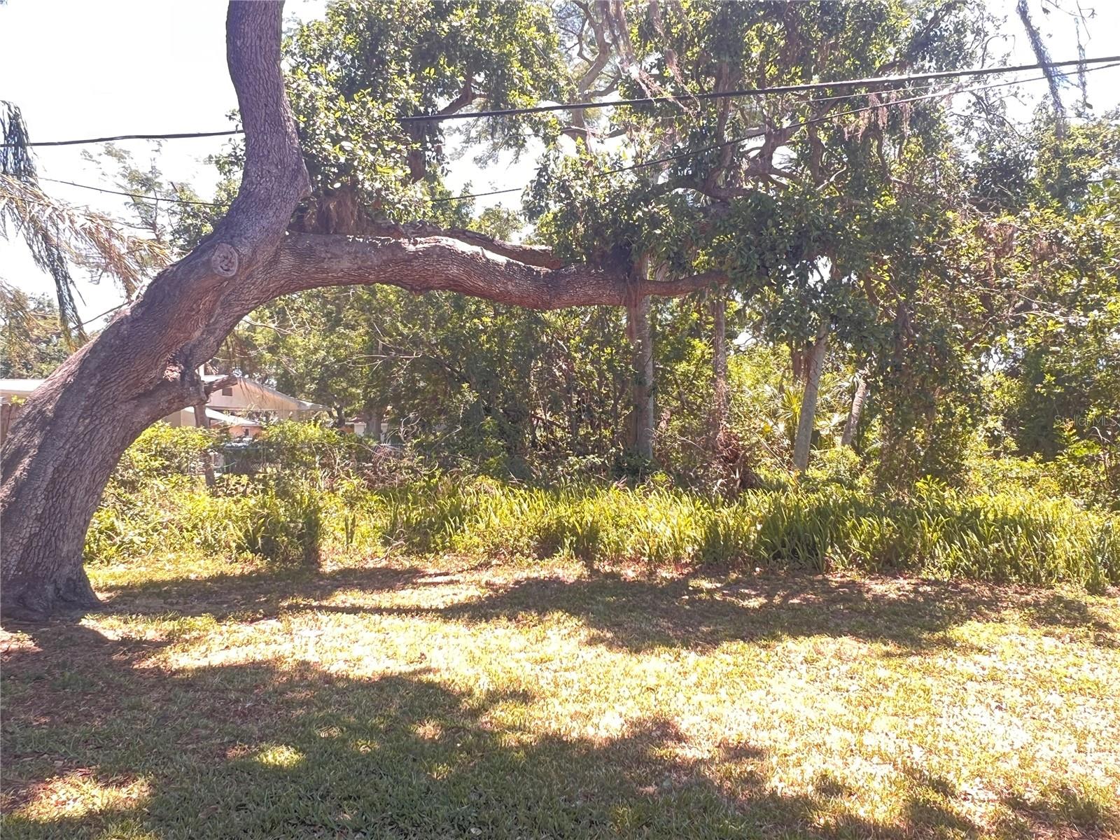 407 BAHAMA RD