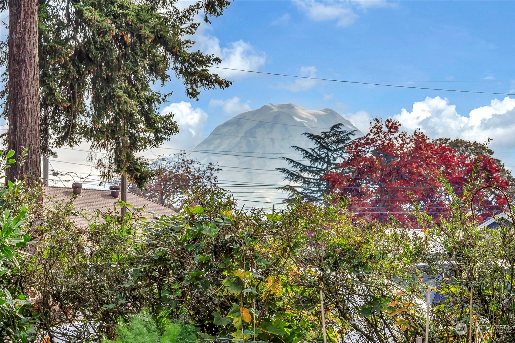 4605 S American Lake Boulevard